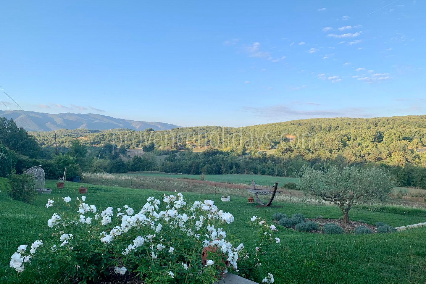 39 - Le Mas du Vallon: Villa: Exterior