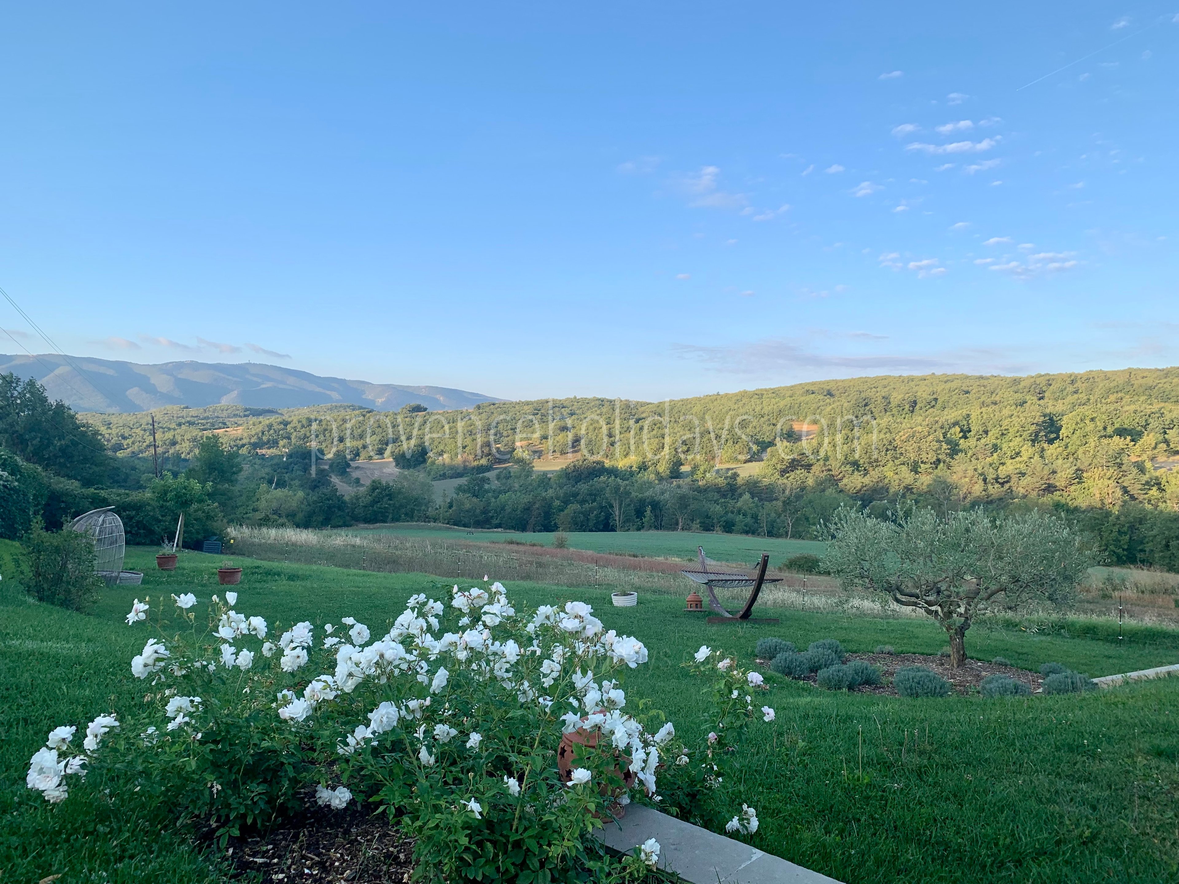 39 - Le Mas du Vallon: Villa: Exterior