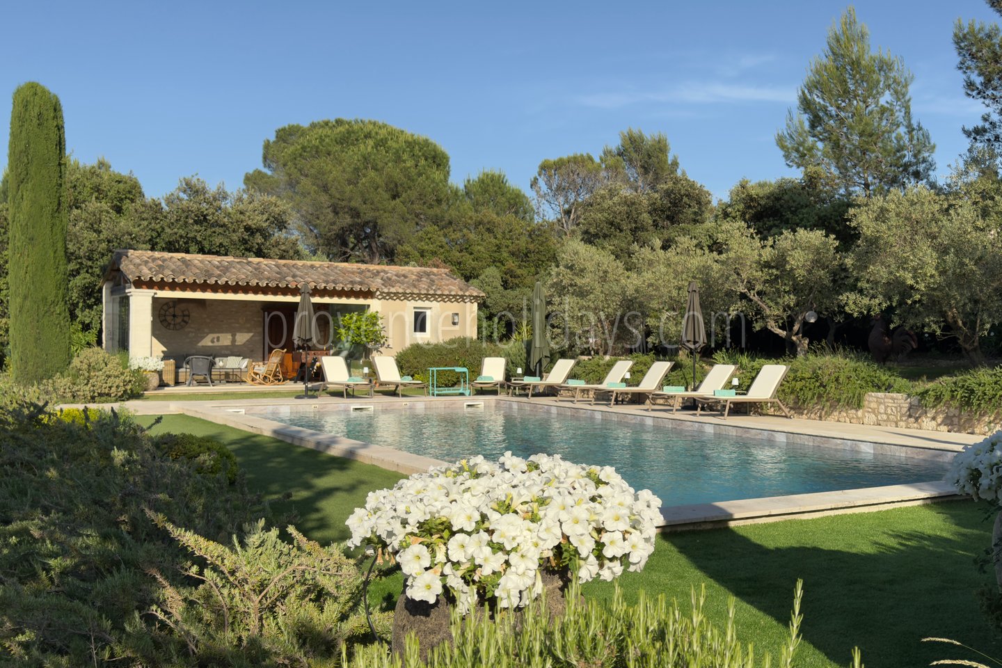 2 - Le Mas de la Cabro: Villa: Pool