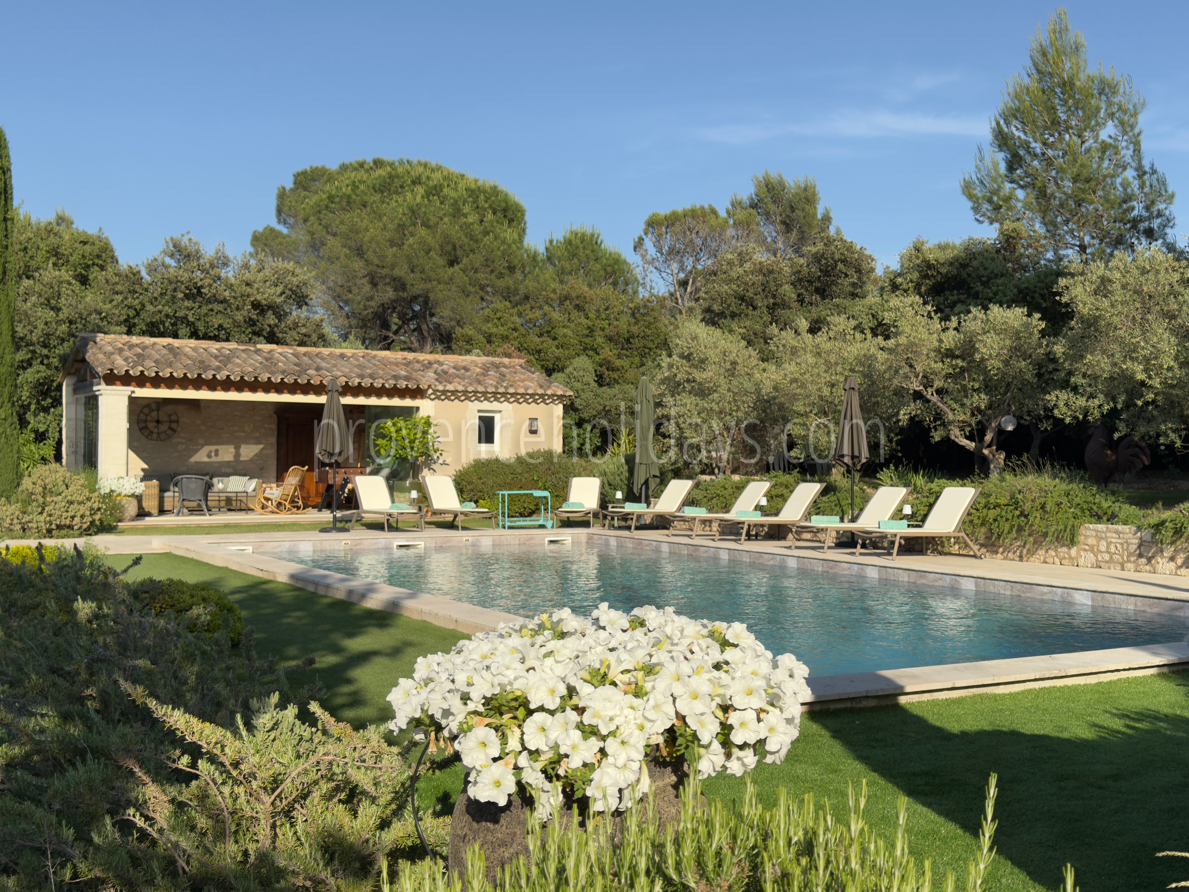 2 - Le Mas de la Cabro: Villa: Pool