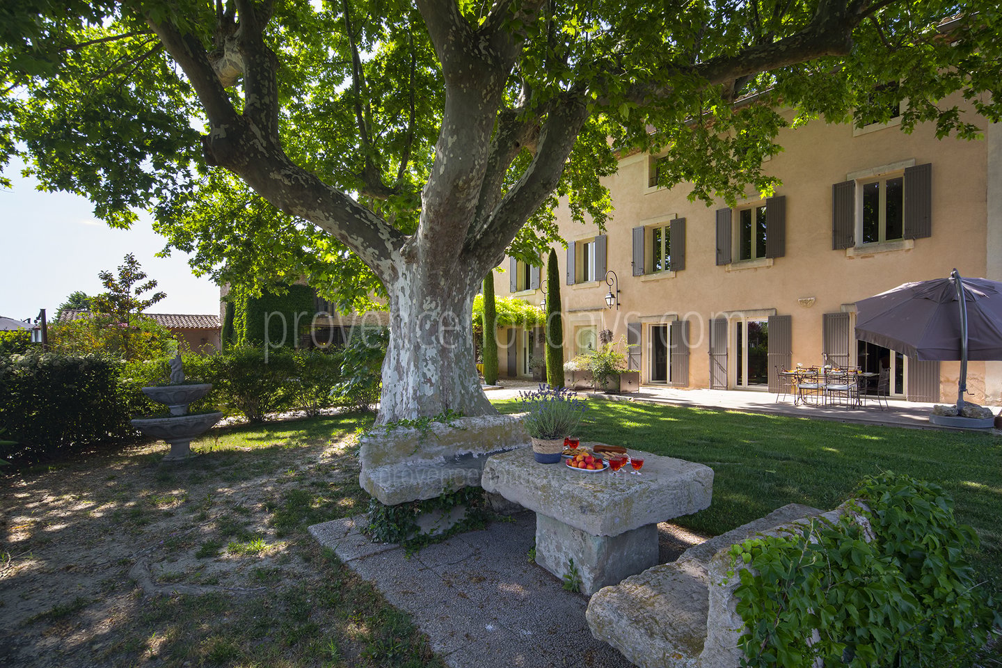 35 - Bastide du Vieux Platane: Villa: Exterior