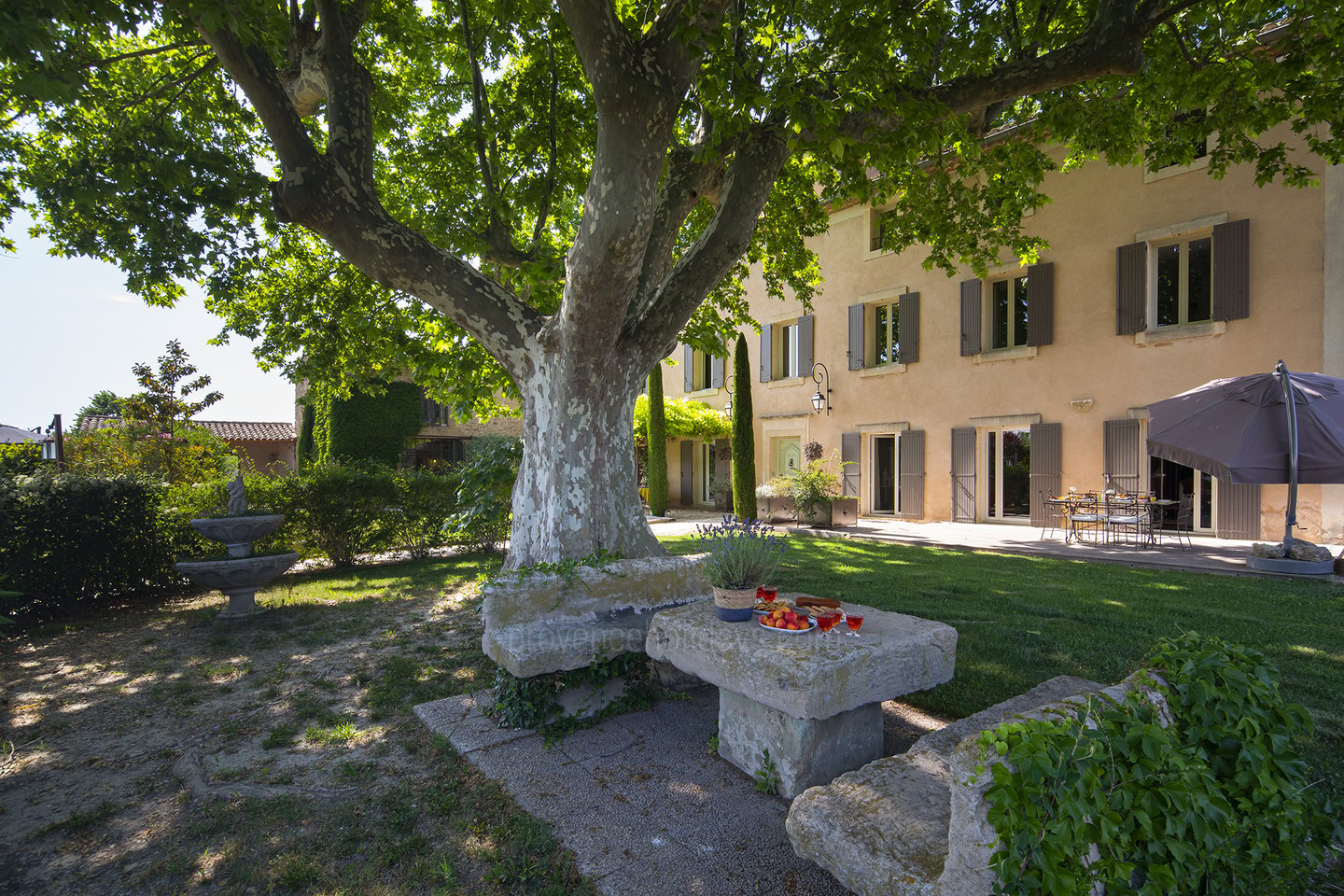 33 - Bastide du Vieux Platane: Villa: Exterior