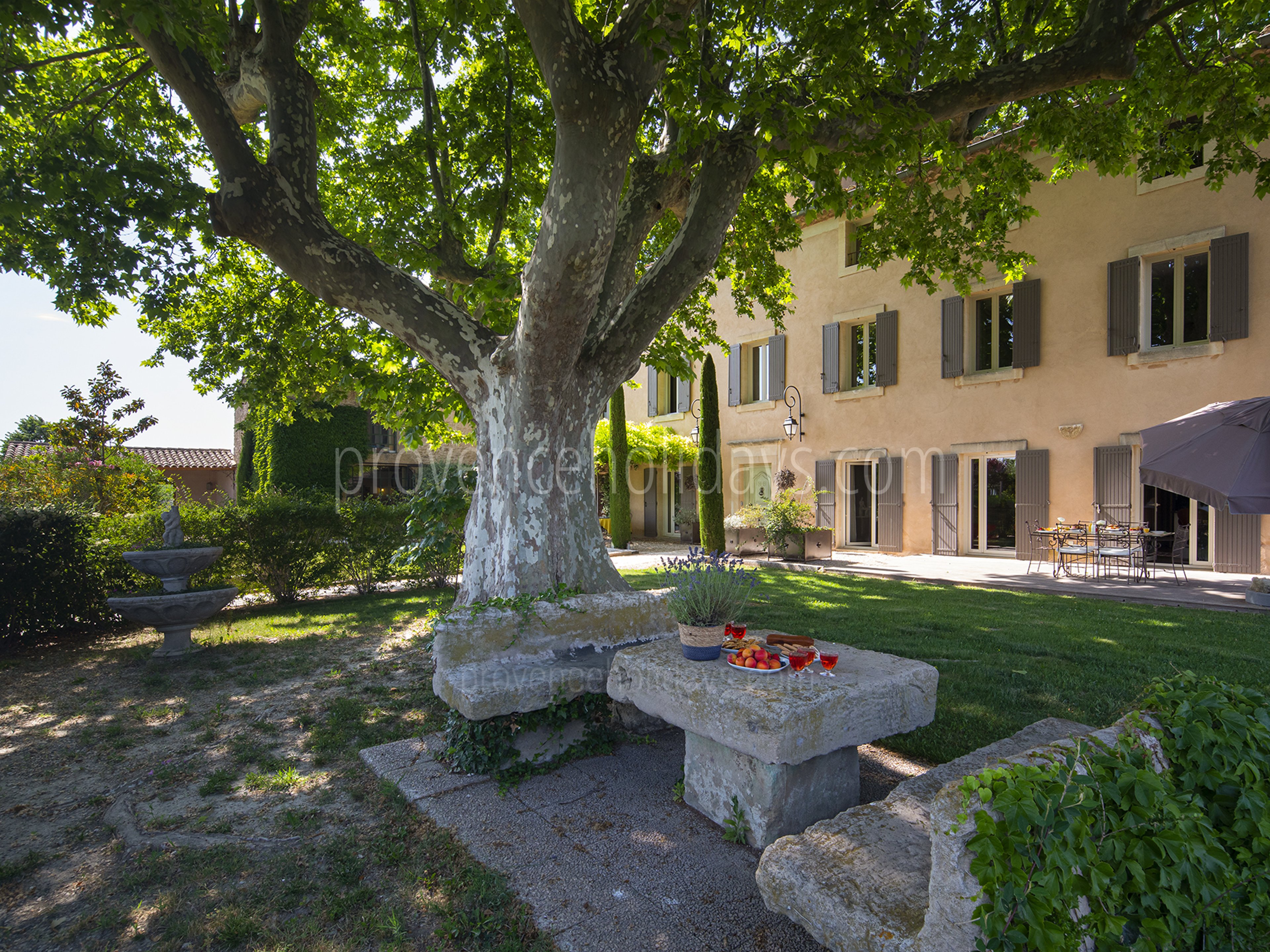 35 - Bastide du Vieux Platane: Villa: Exterior