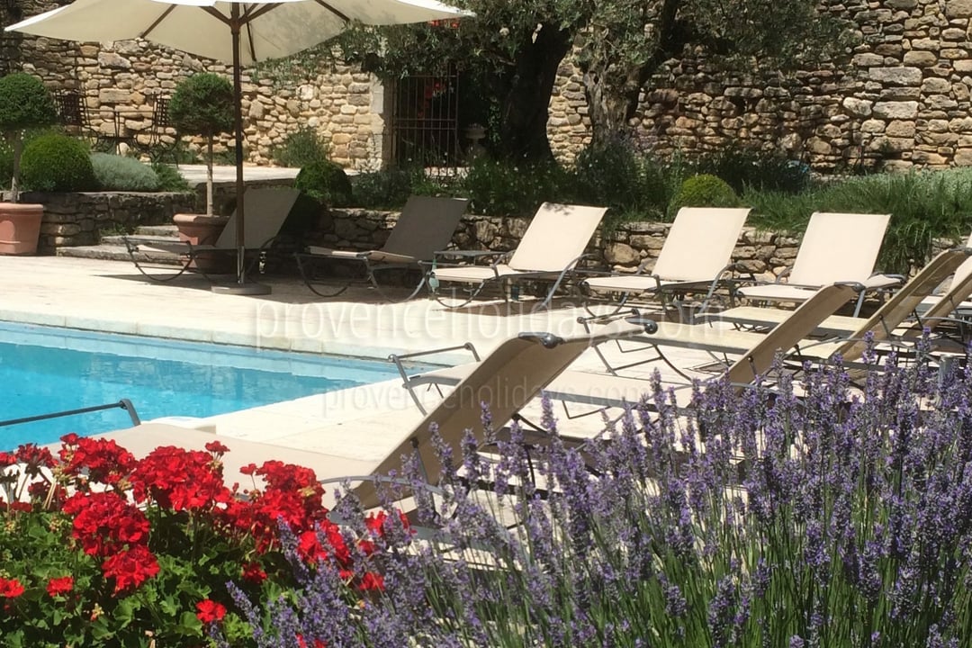 34 - Le Mas des Buis: Villa: Pool