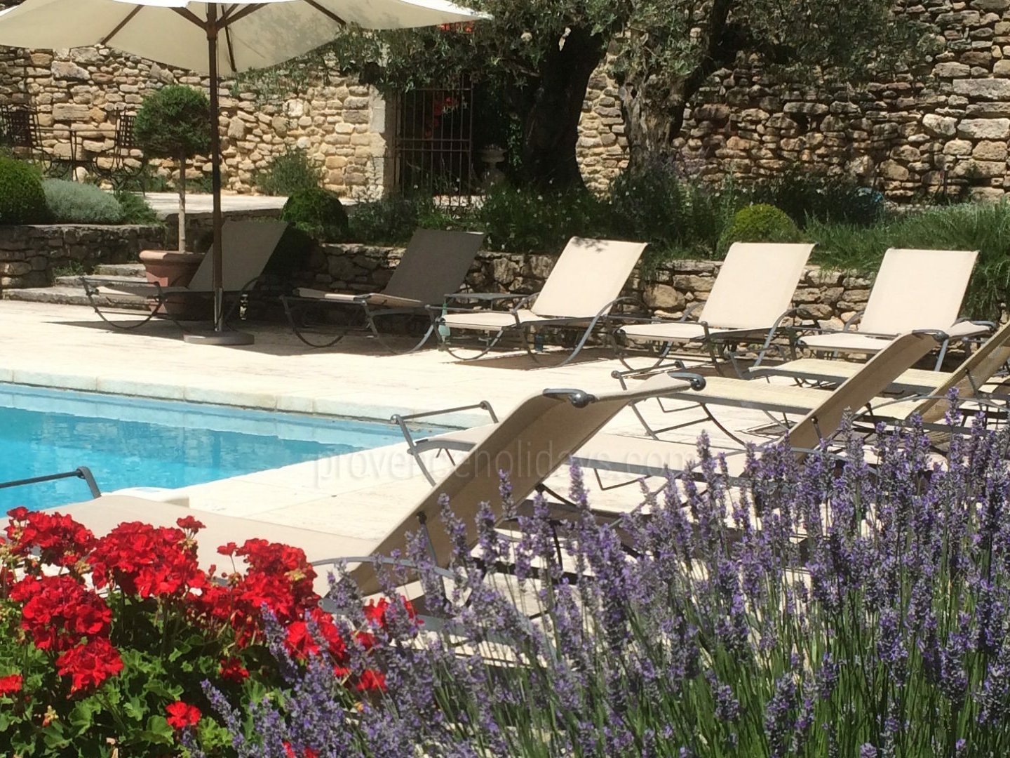 32 - Le Mas des Buis: Villa: Pool