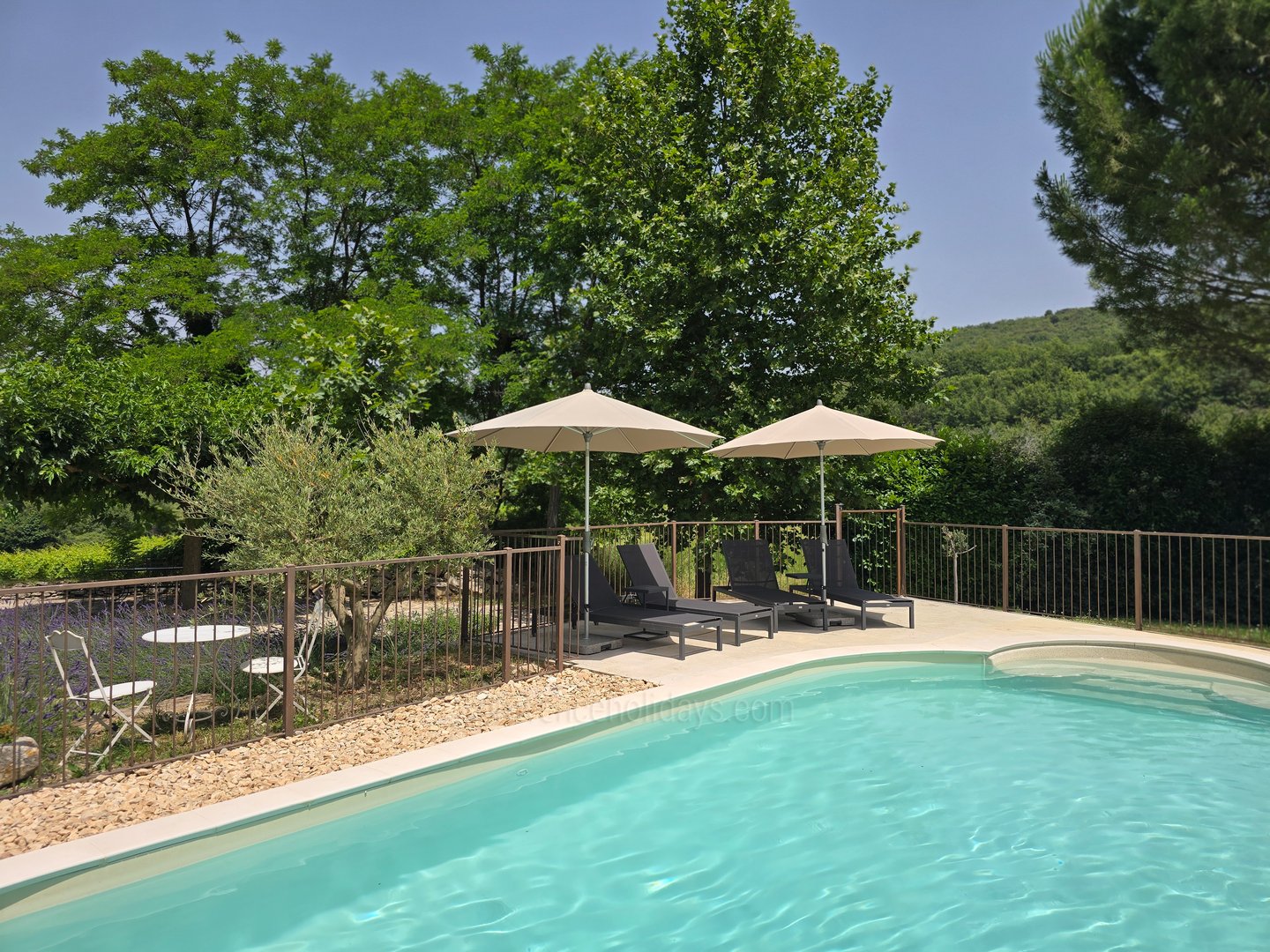 55 - Mas Cerisiers: Villa: Pool