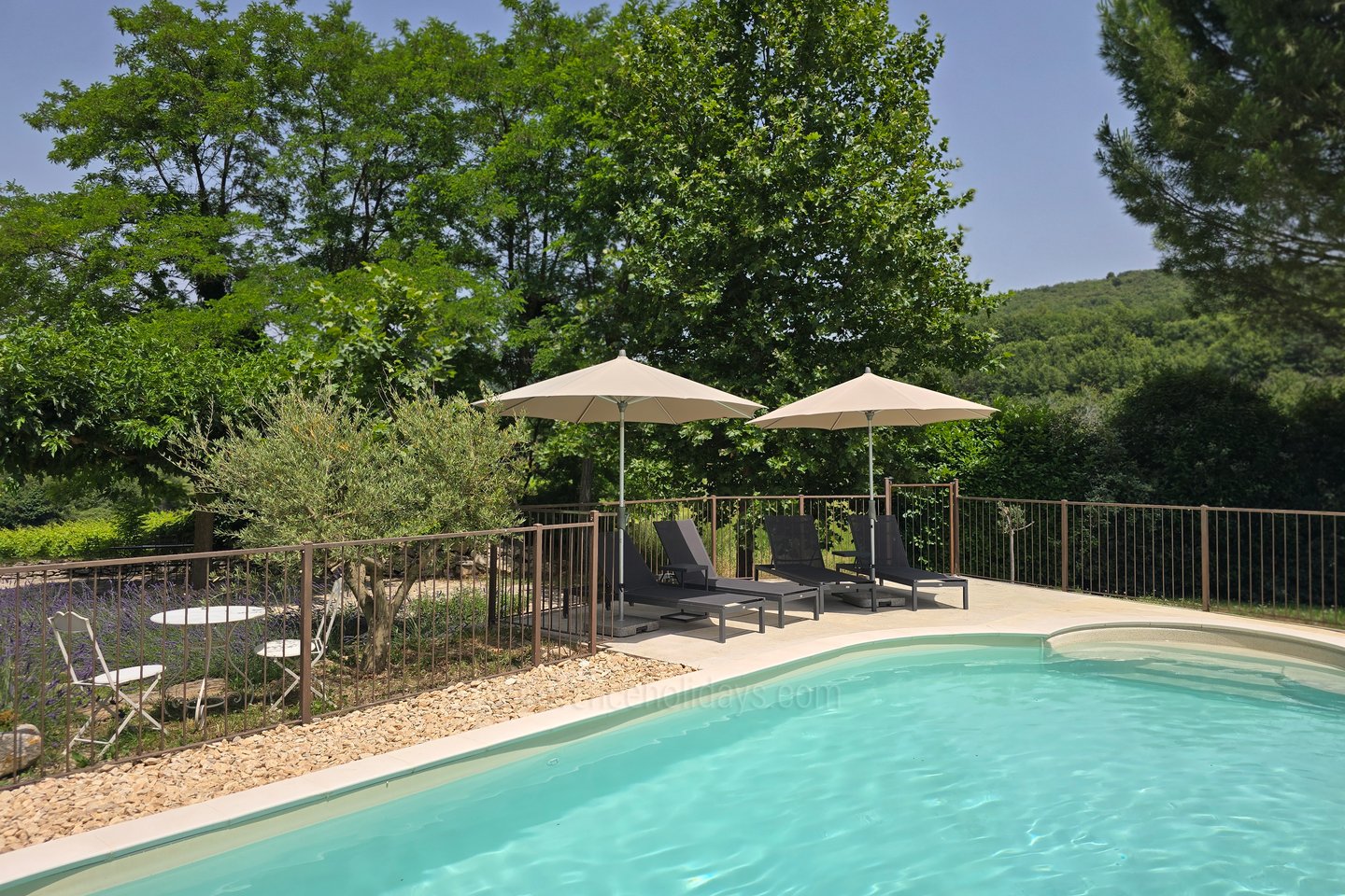 55 - Mas Cerisiers: Villa: Pool