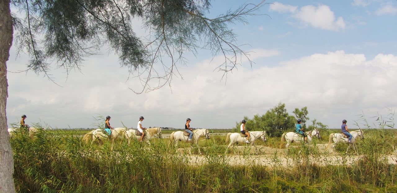 horseback riding