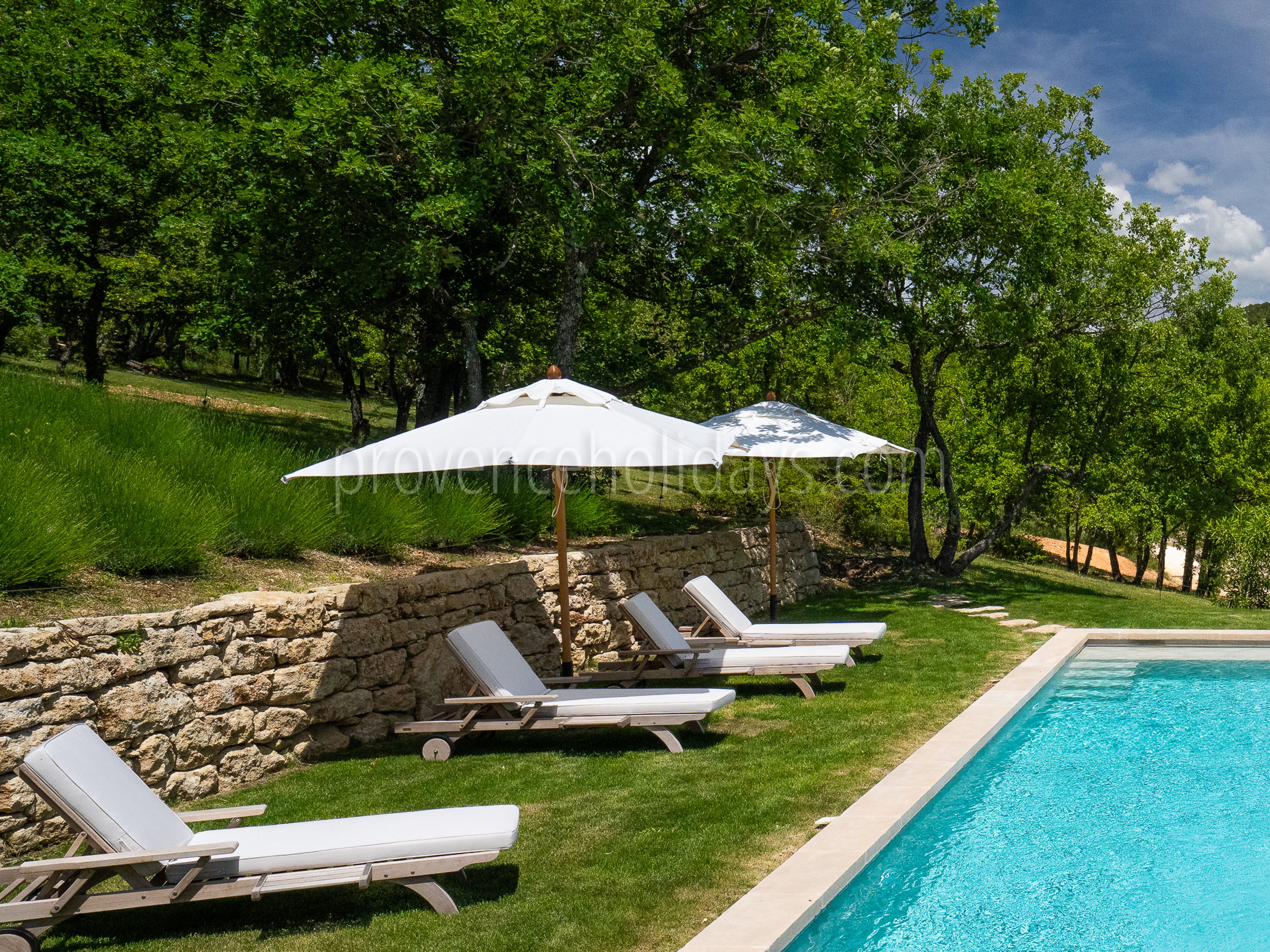 122 - Villa des Cascades: Villa: Pool