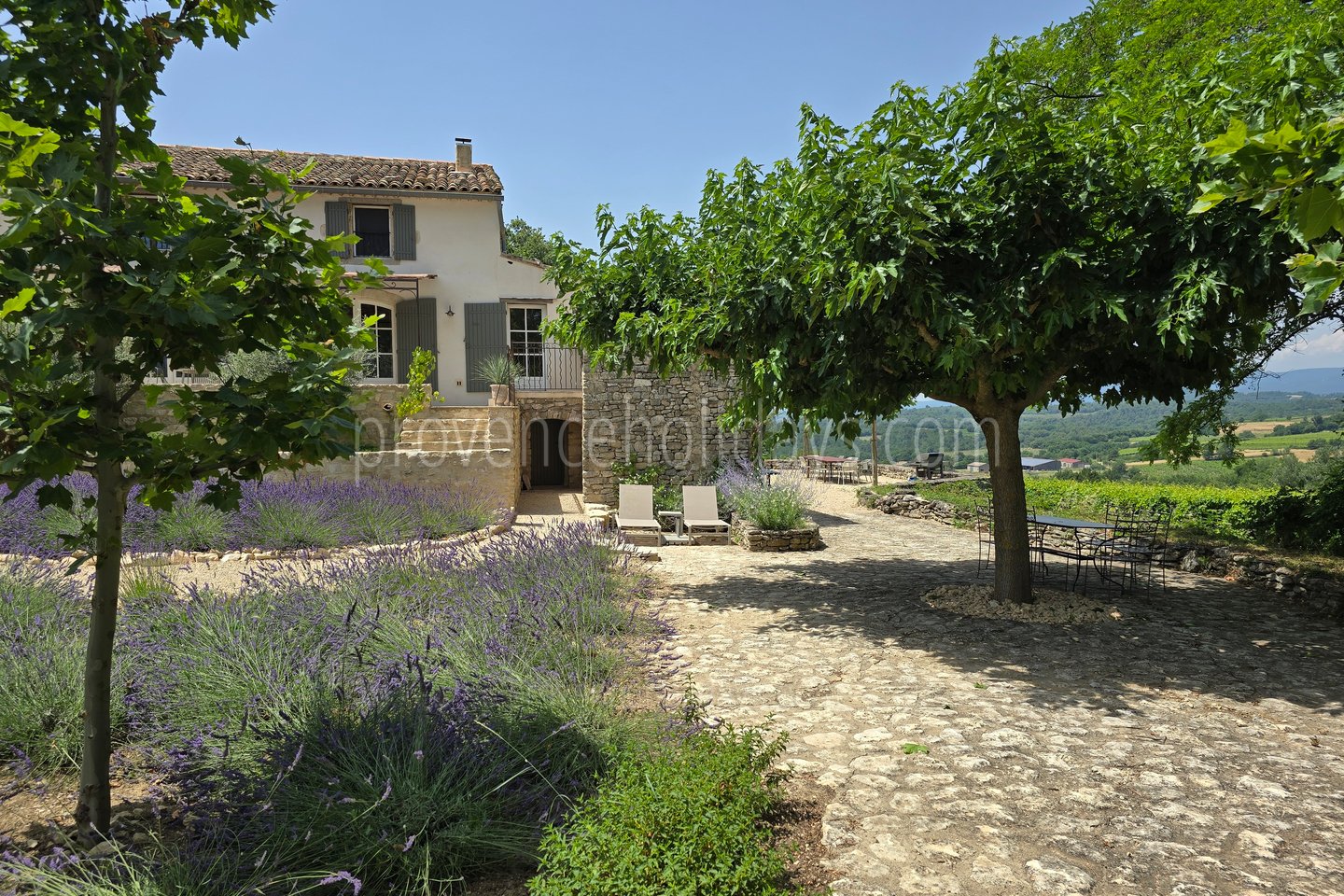 53 - Mas Cerisiers: Villa: Exterior
