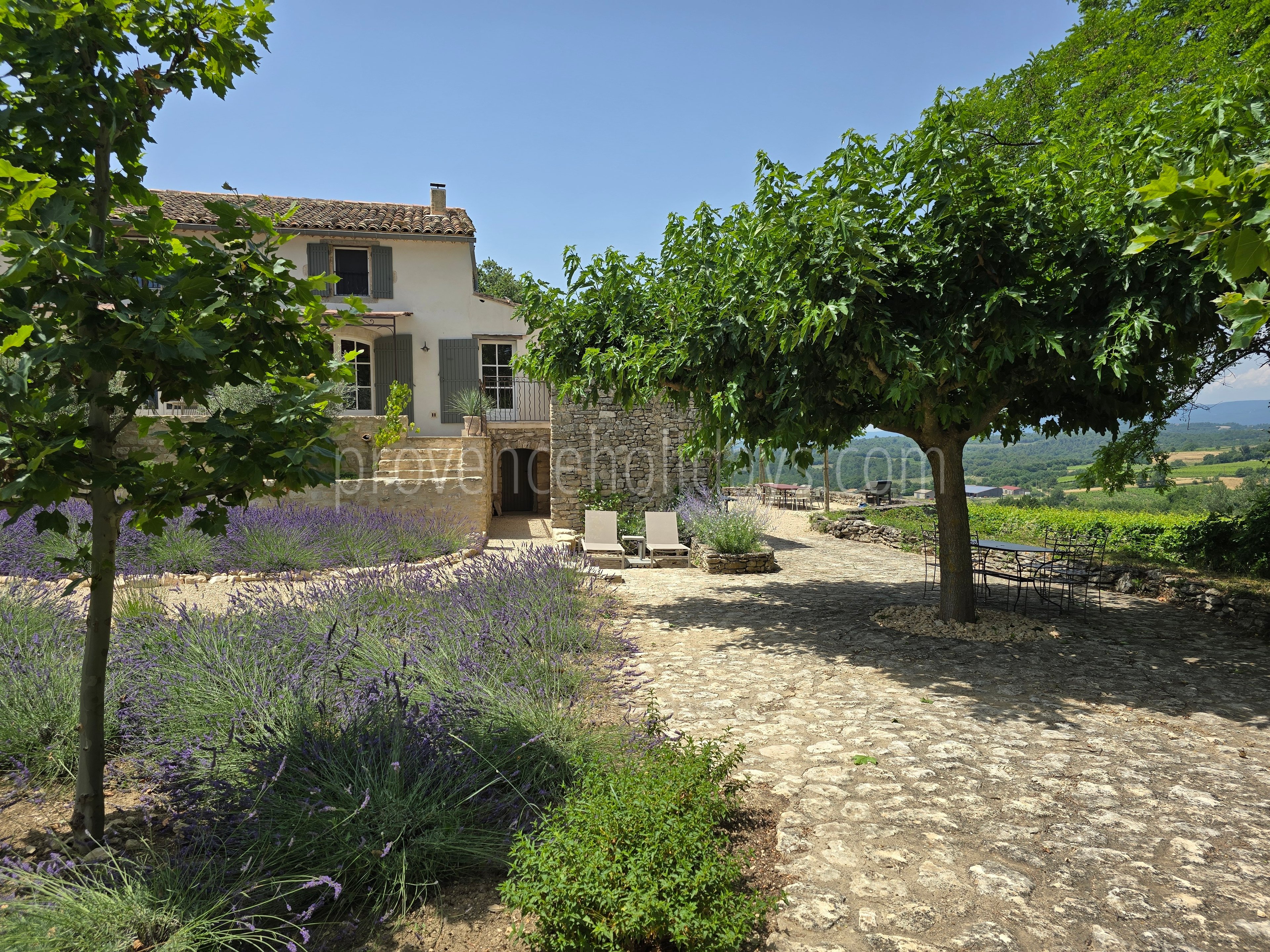 51 - Mas Cerisiers: Villa: Exterior