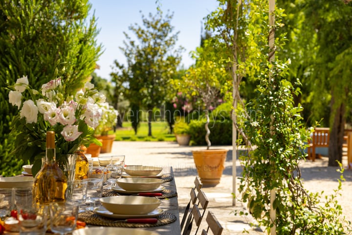 53 - Le Mas des Jardins: Villa: Exterior