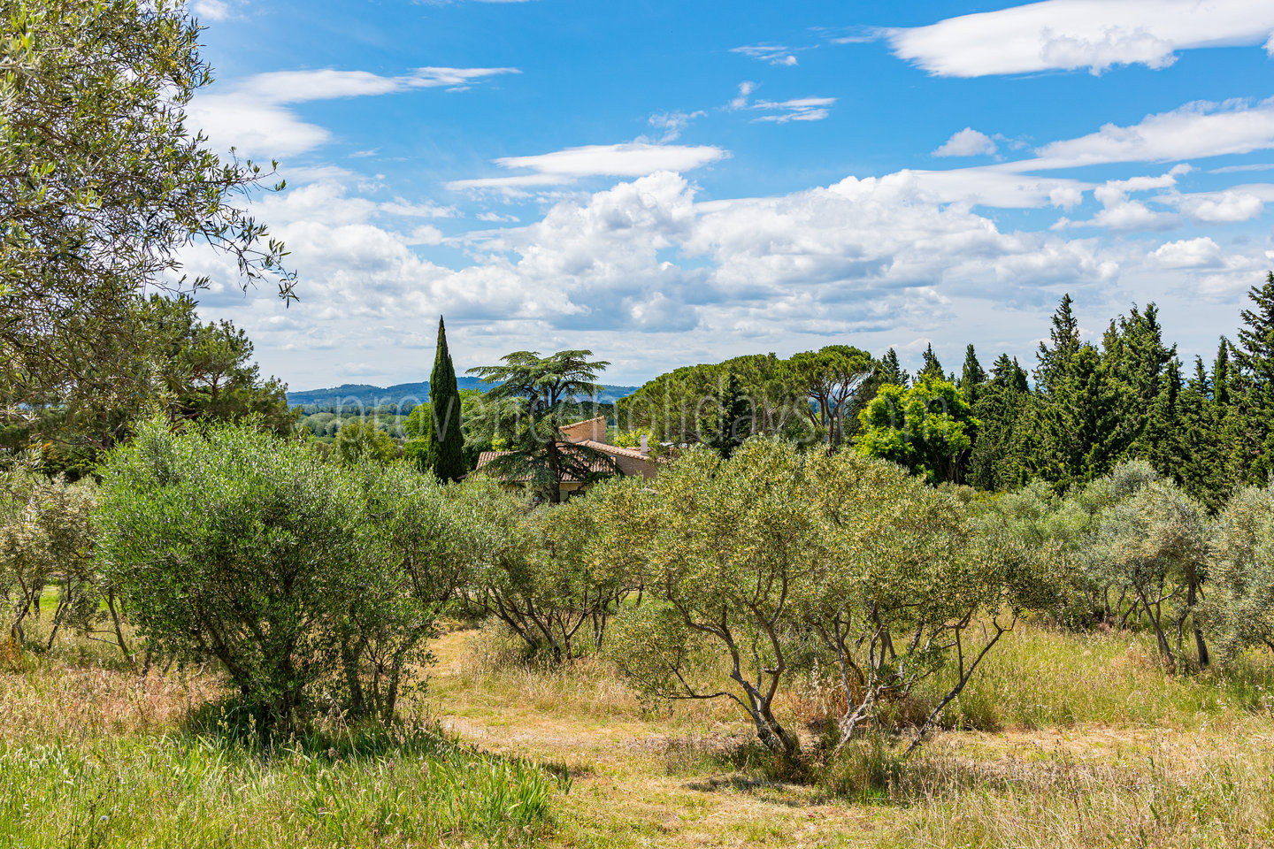 52 - Mas des Cistes: Villa: Exterior