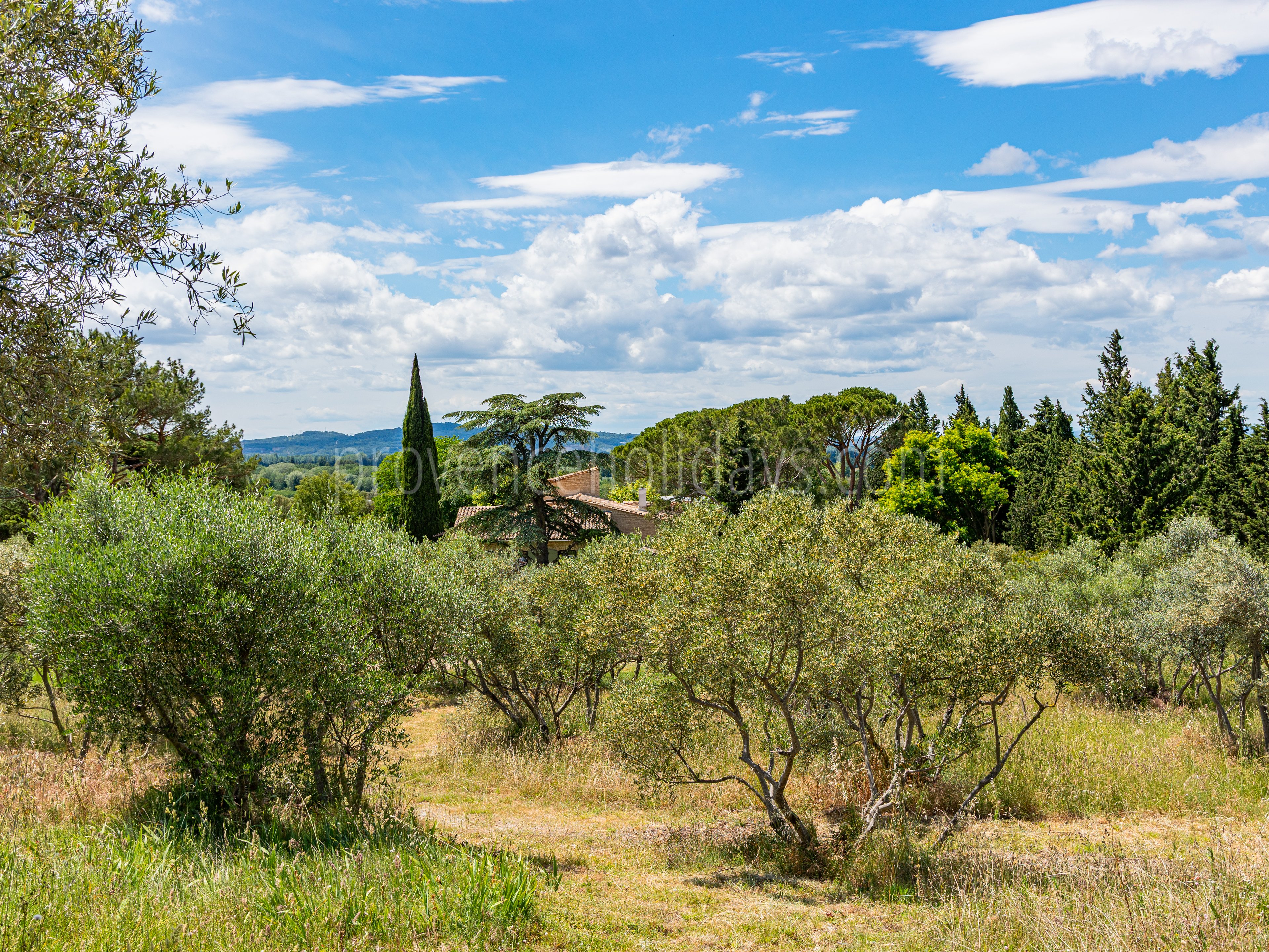 52 - Mas des Cistes: Villa: Exterior