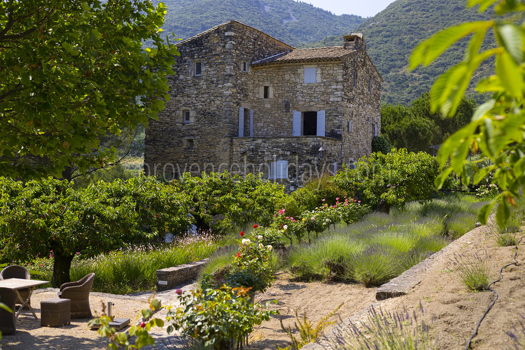 8 - La Roseraie: Villa: Exterior