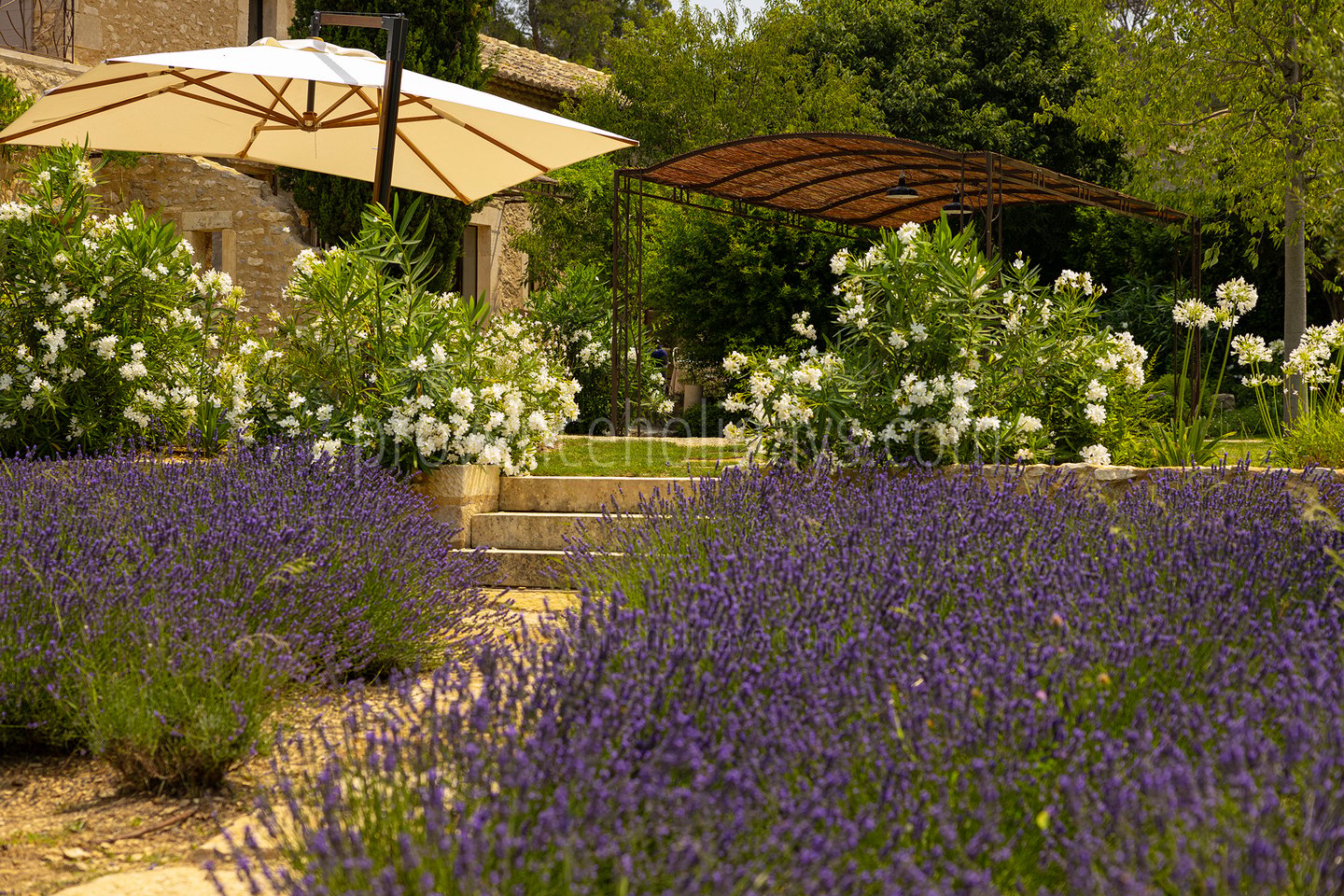 40 - Le Mas Secret: Villa: Exterior