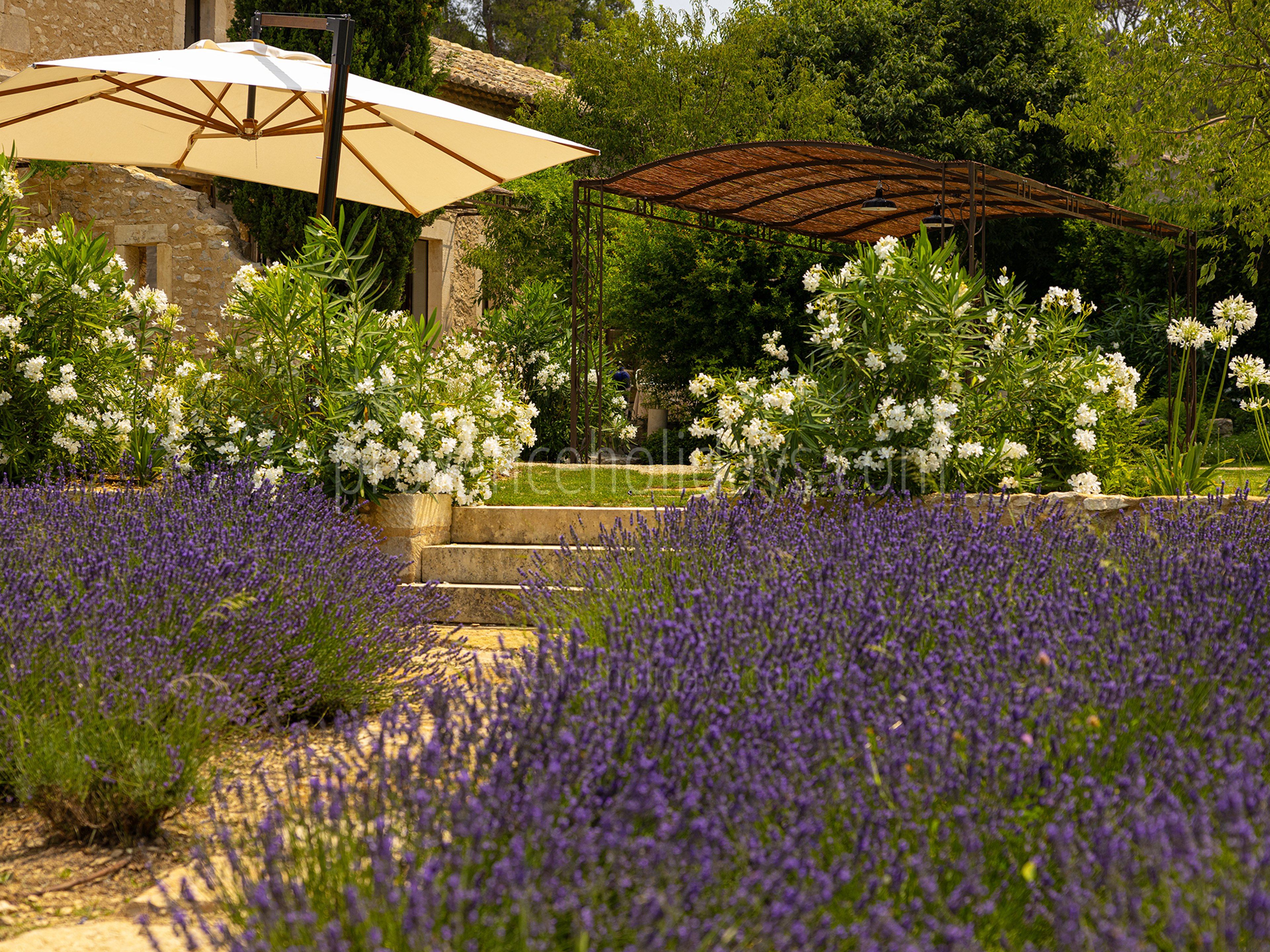 40 - Le Mas Secret: Villa: Exterior