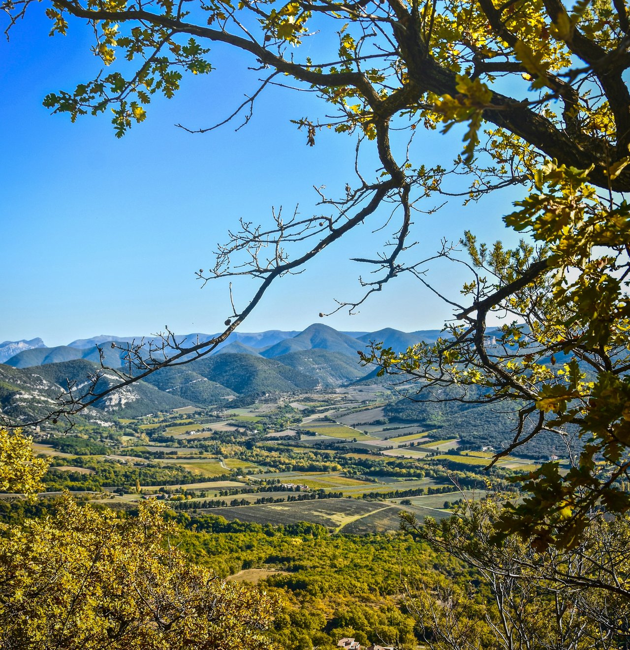 autumn in Provence
