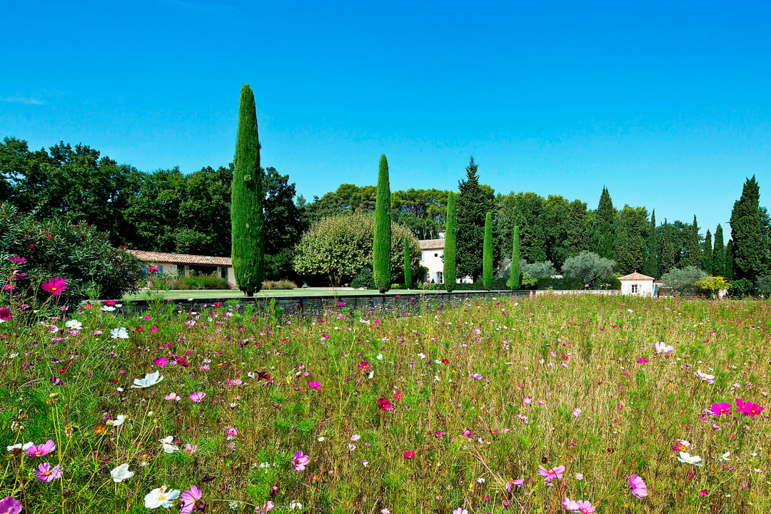 22 - Mas Provence: Villa: Exterior