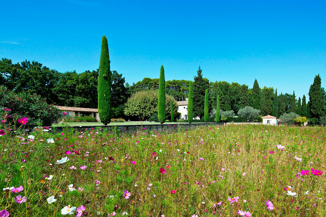 22 - Mas provence: Villa: Exterior