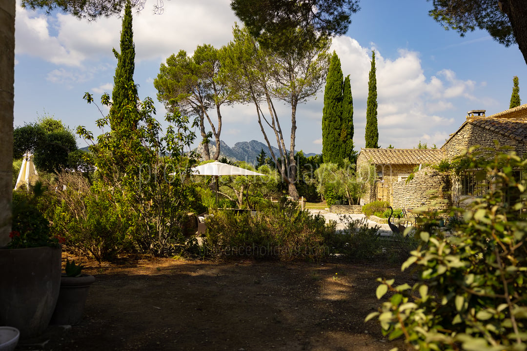 27 - Mas de Tournesol: Villa: Exterior