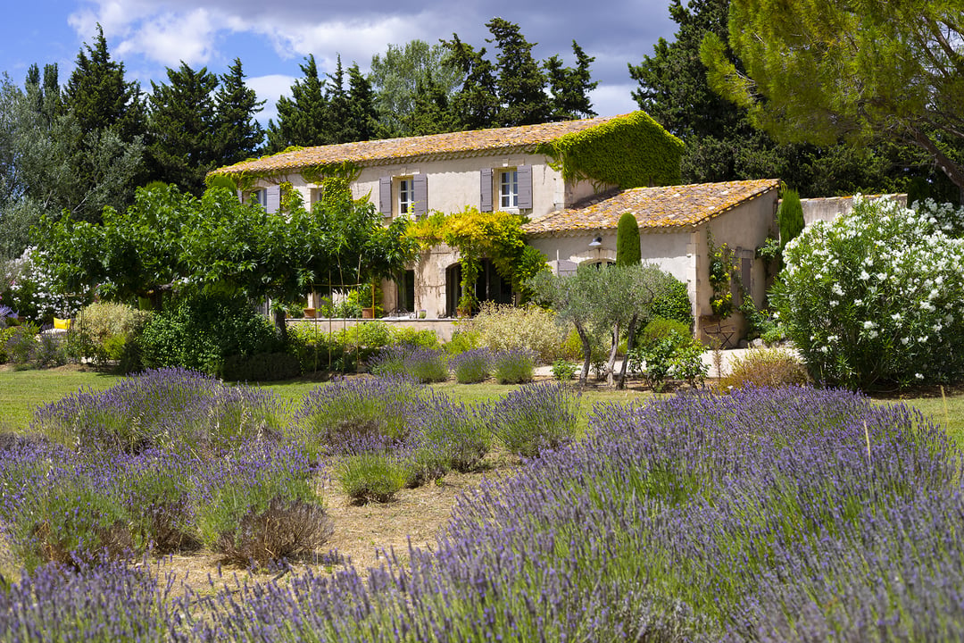 19th century farmhouse in Paradou