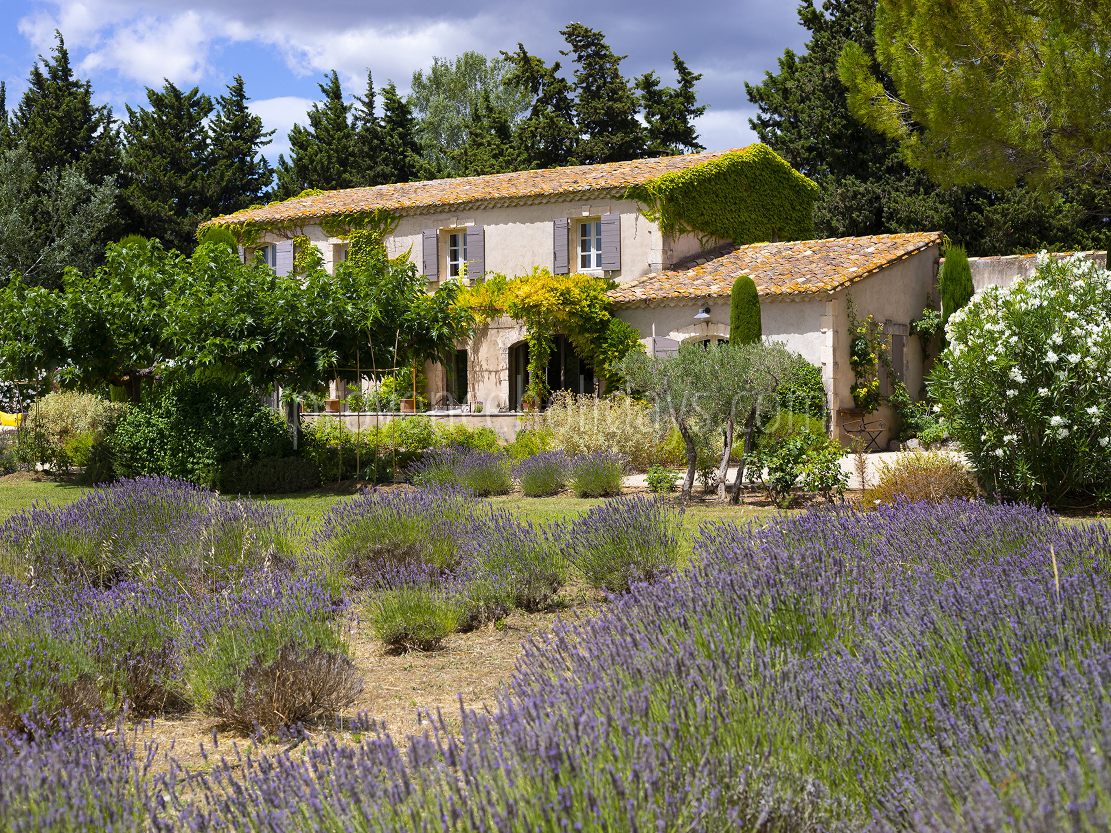 1 - Maison Paradou: Villa: Exterior