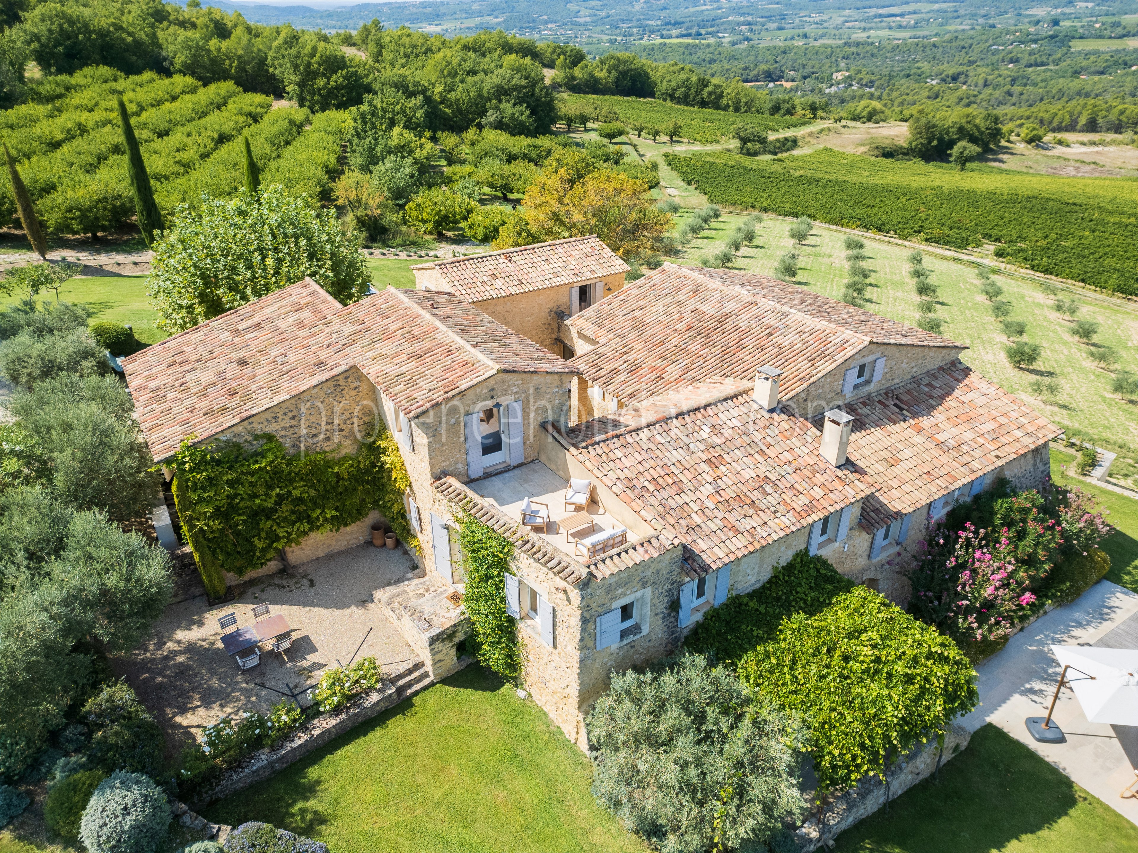 40 - Villa Mimosa: Villa: Exterior