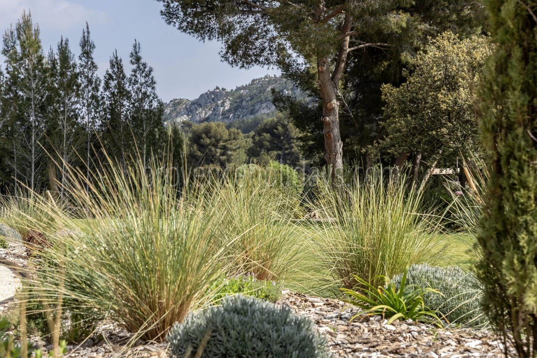 33 - Le Loup des Alpilles: Villa: Exterior