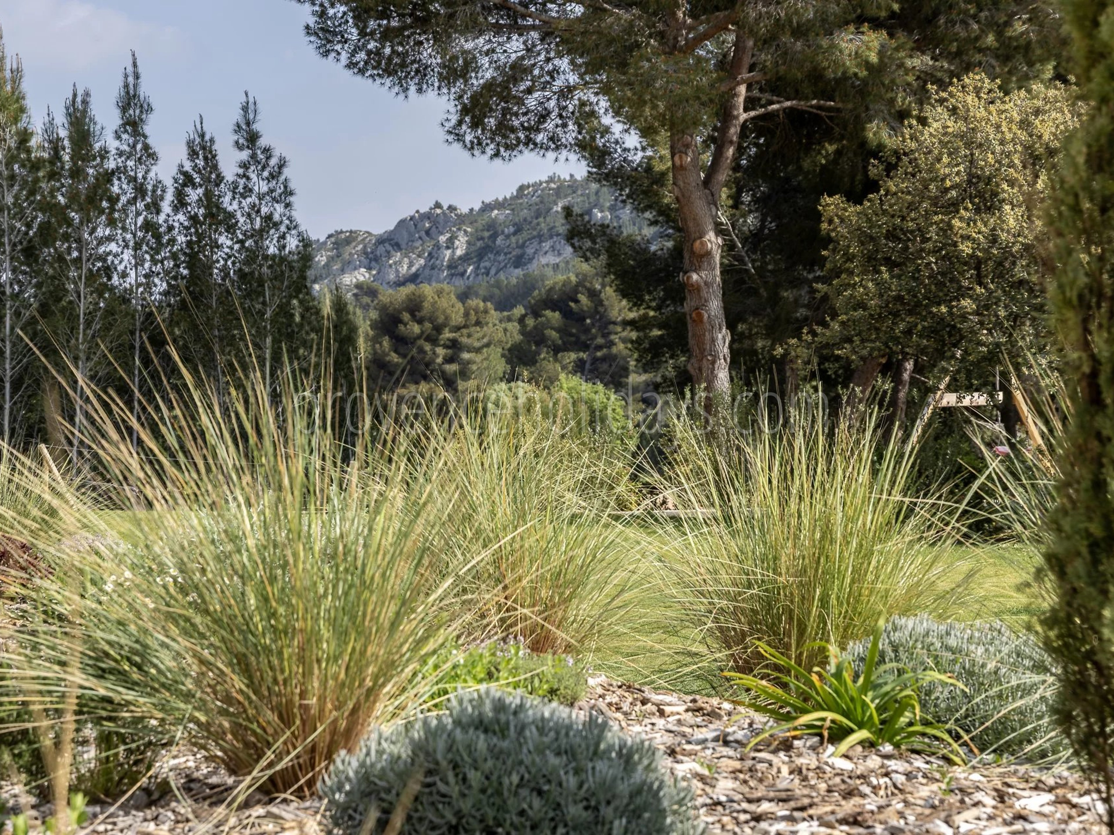33 - Le Loup des Alpilles: Villa: Exterior