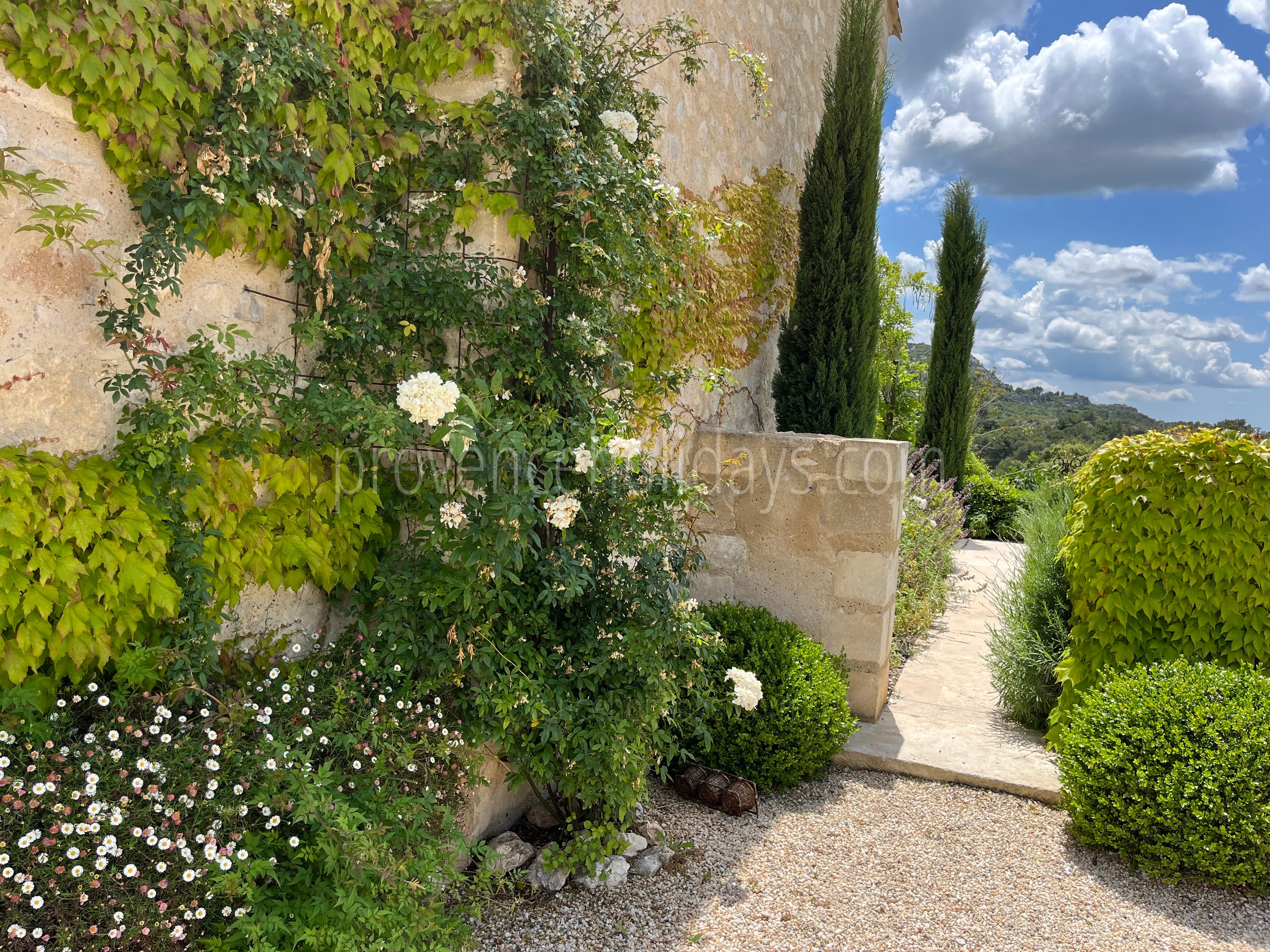55 - Mas des Baux: Villa: Exterior
