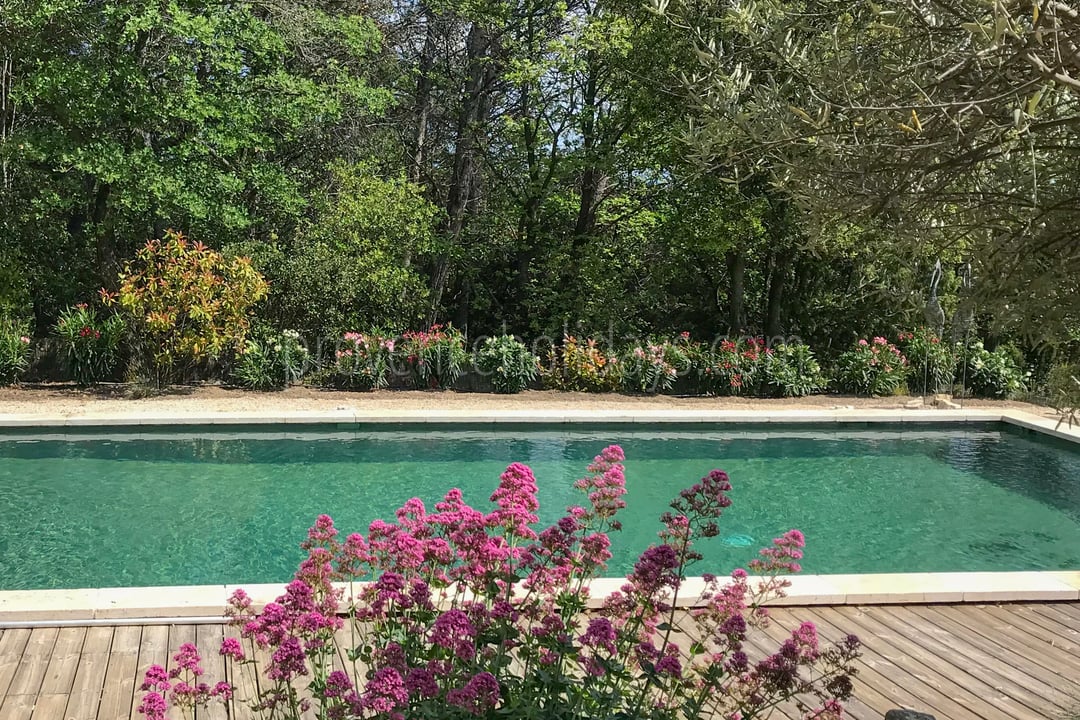 9 - Mas des Collines du Luberon: Villa: Pool