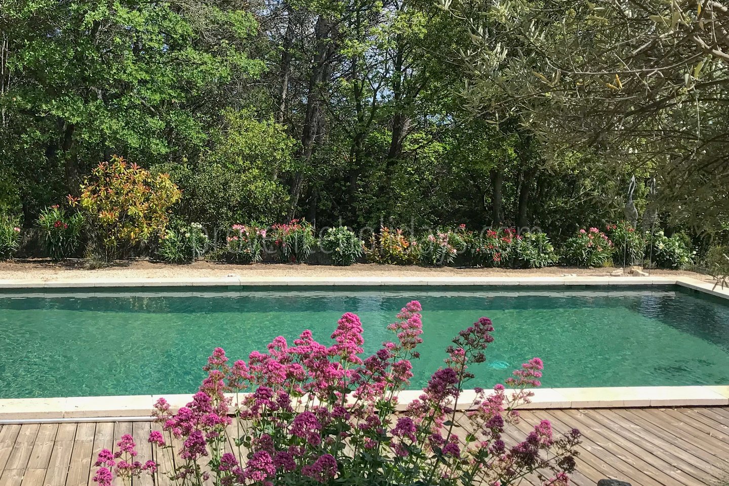 9 - Mas des Collines du Luberon: Villa: Pool