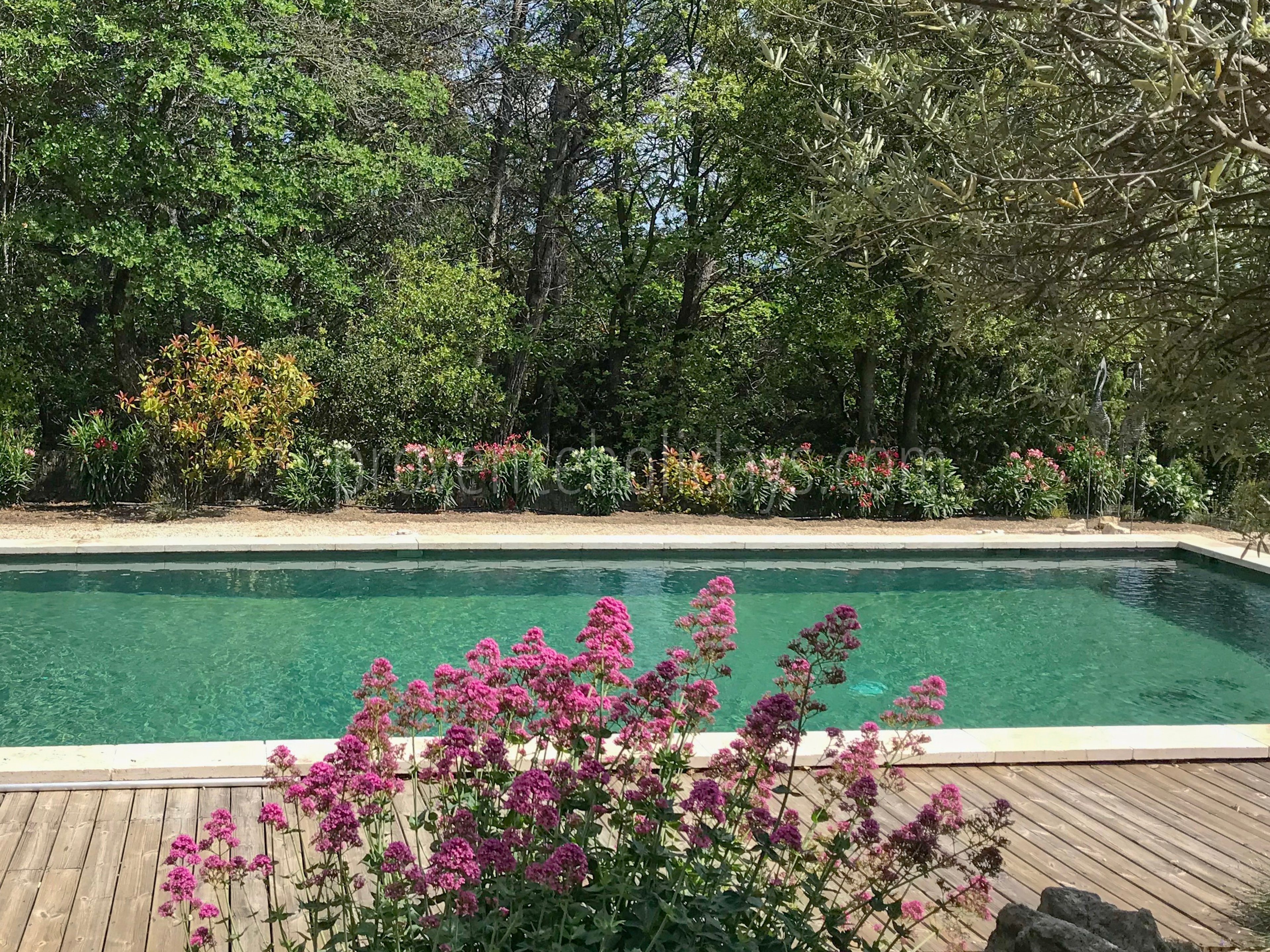 9 - Mas des Collines du Luberon: Villa: Pool