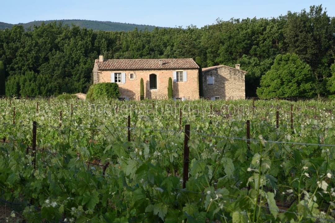 9 - Le Mas des Buis: Villa: Exterior