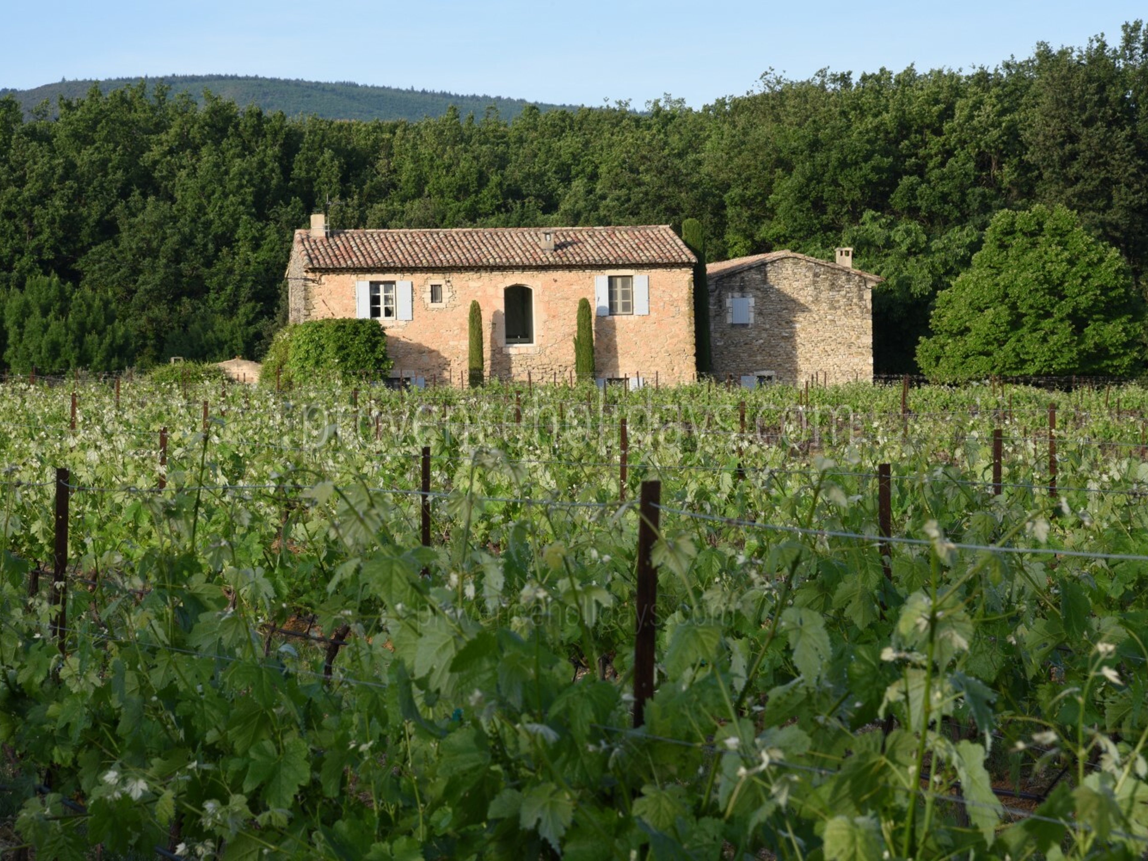 9 - Le Mas des Buis: Villa: Exterior