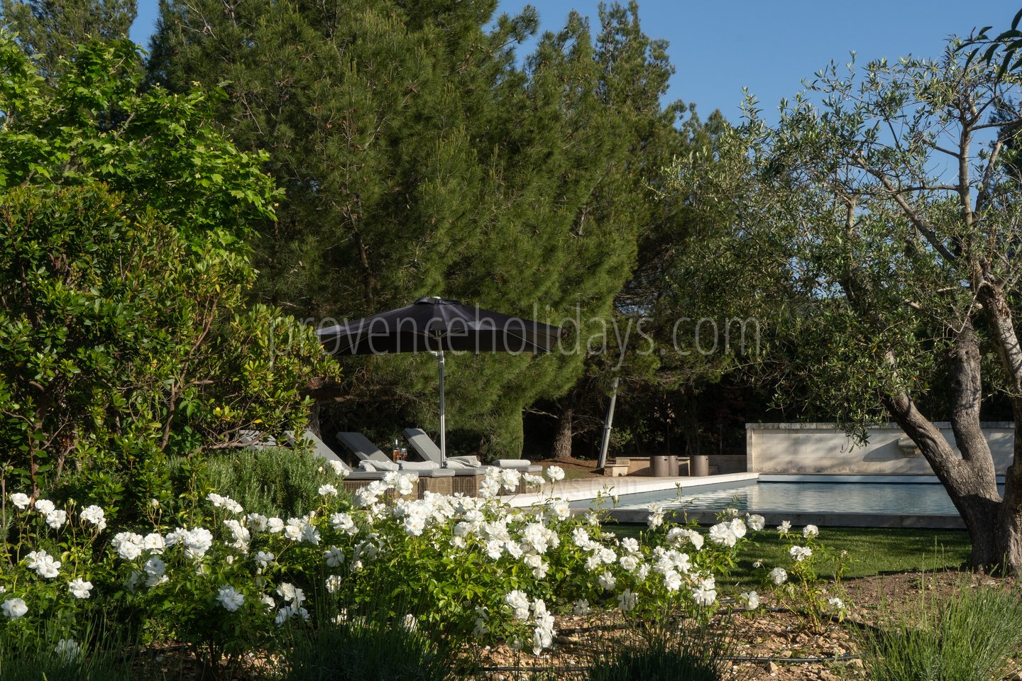 48 - Mas des Aupiho: Villa: Exterior
