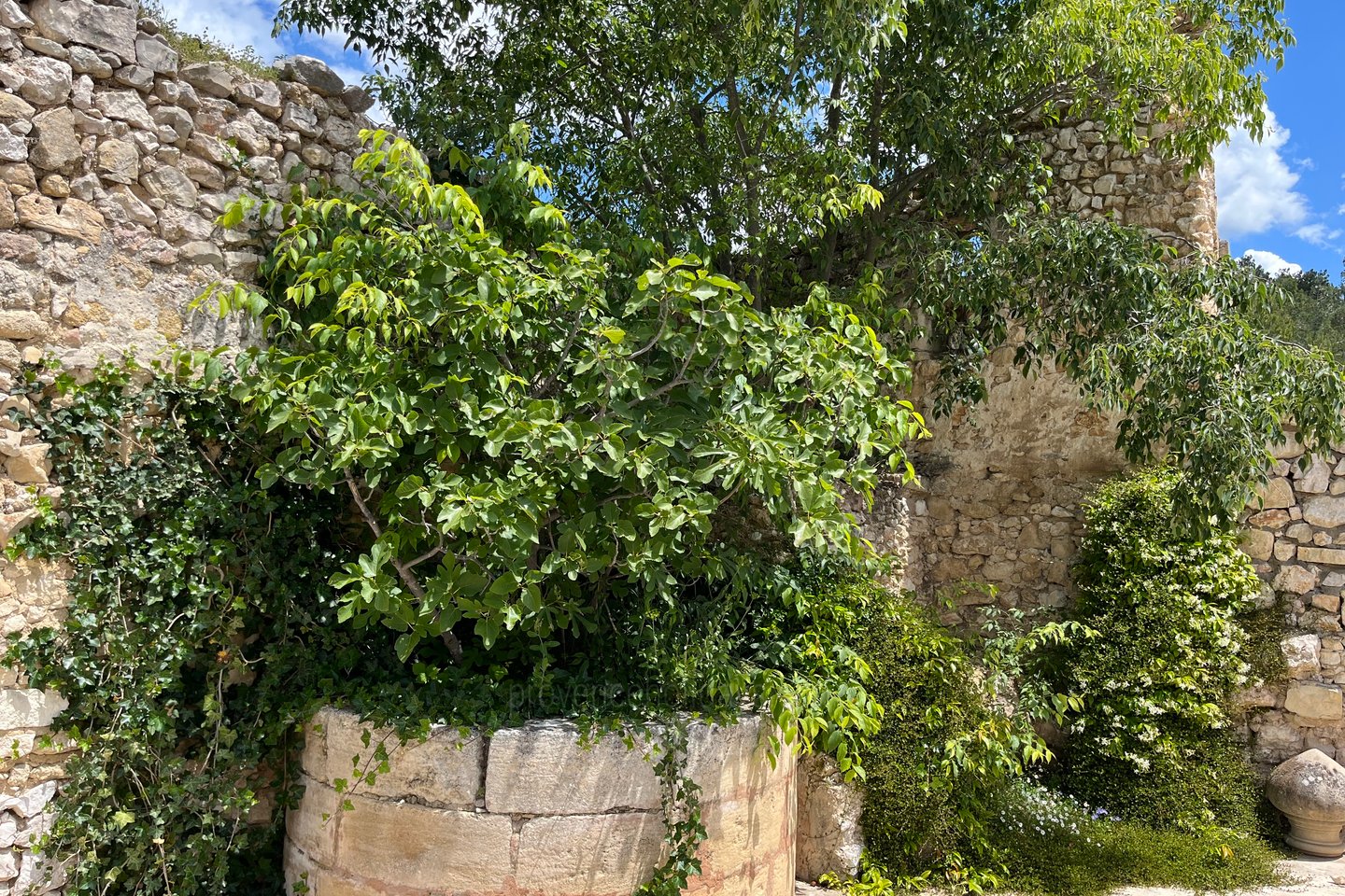 60 - Mas des Baux: Villa: Exterior