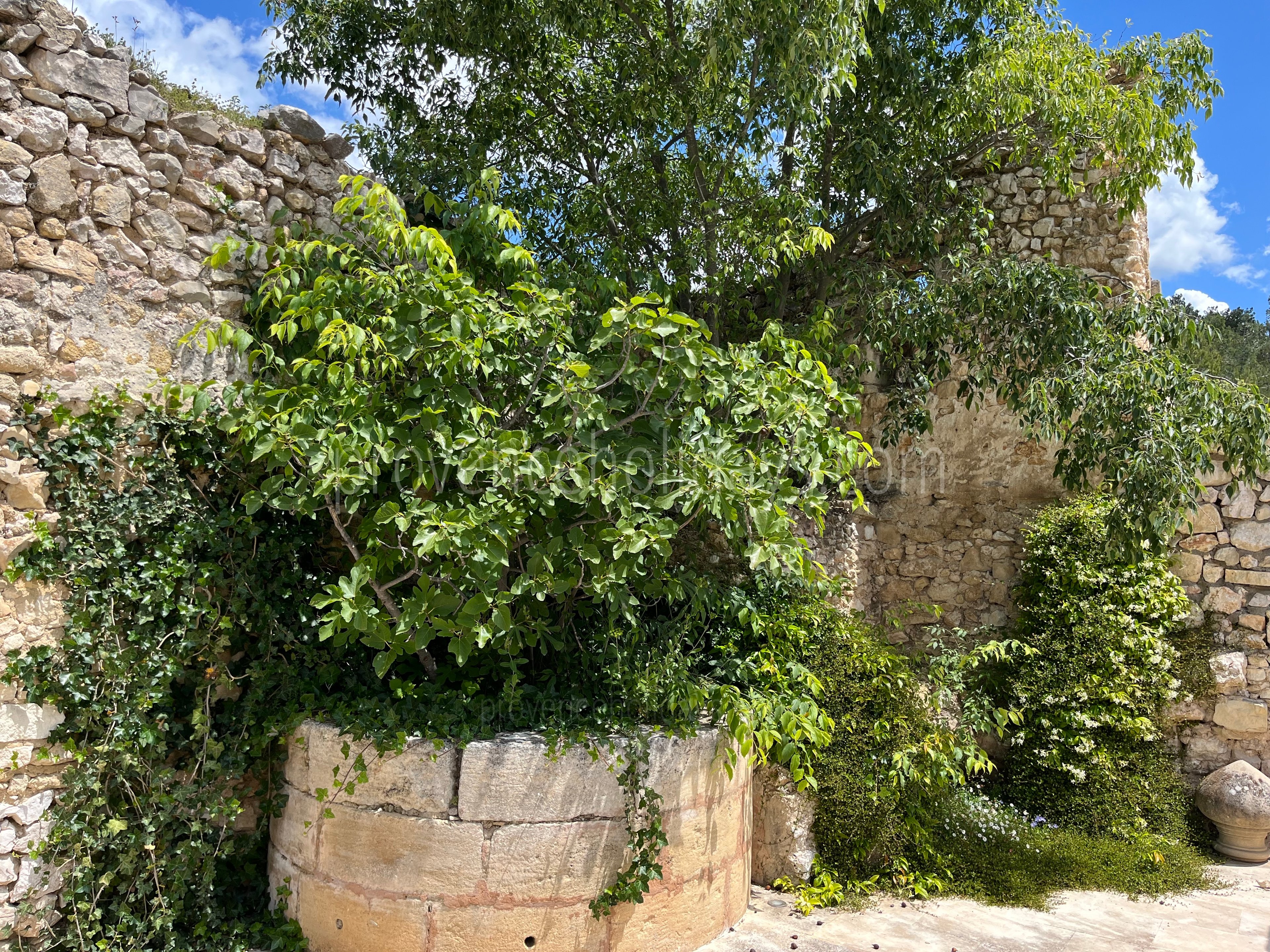 60 - Mas des Baux: Villa: Exterior