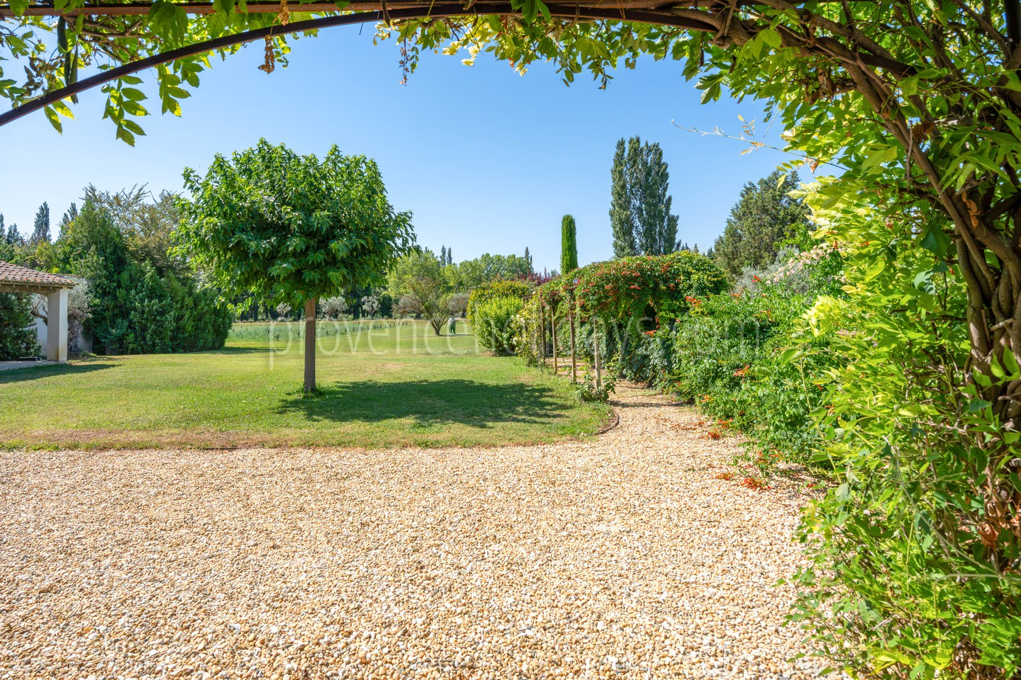 91 - Mas des Vignes: Villa: Exterior