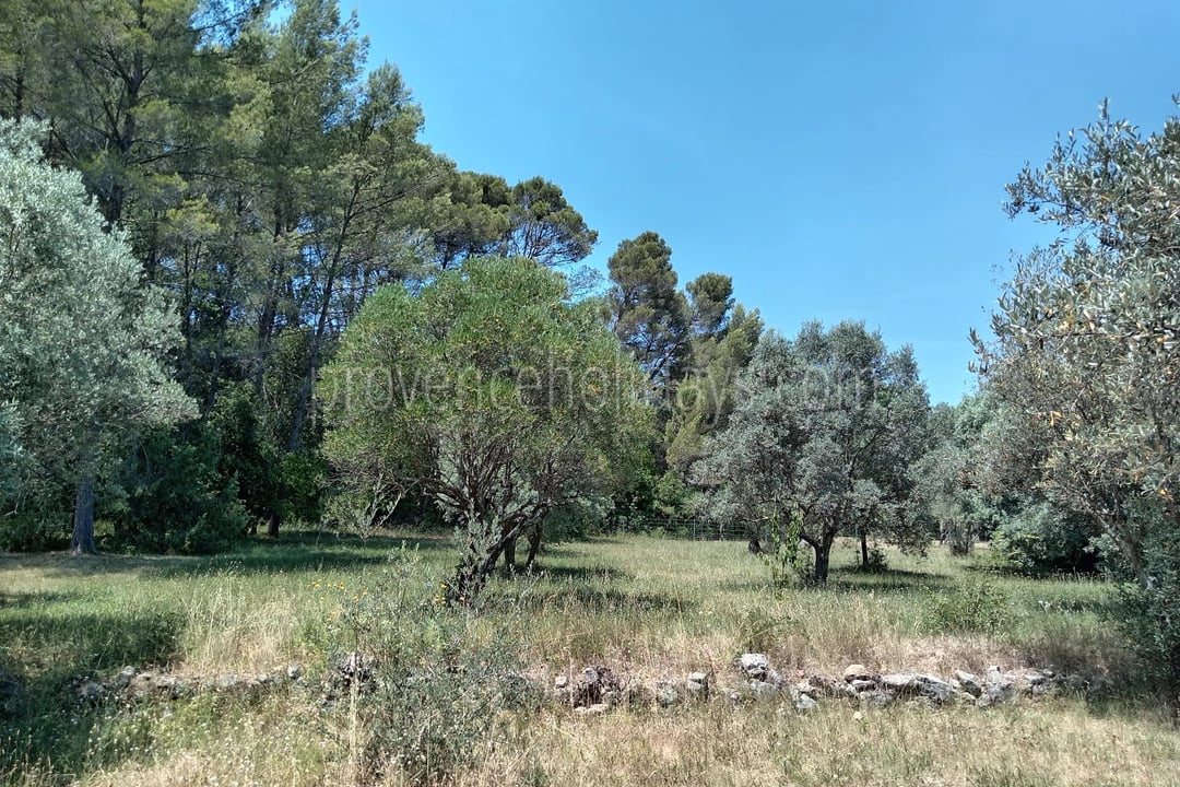 8 - Villa with pool in Draguignan: Villa: Exterior
