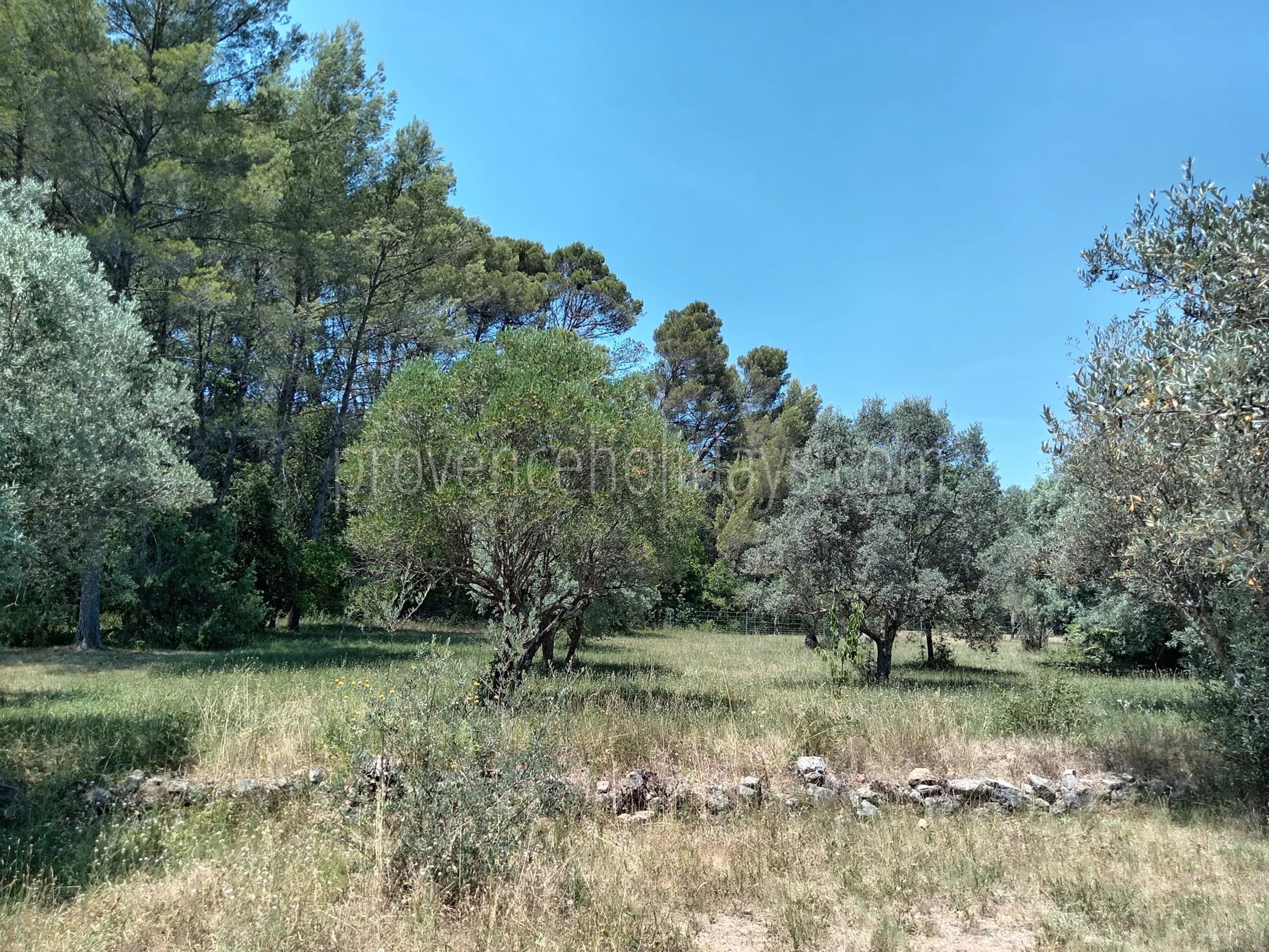 8 - Villa with pool in Draguignan: Villa: Exterior