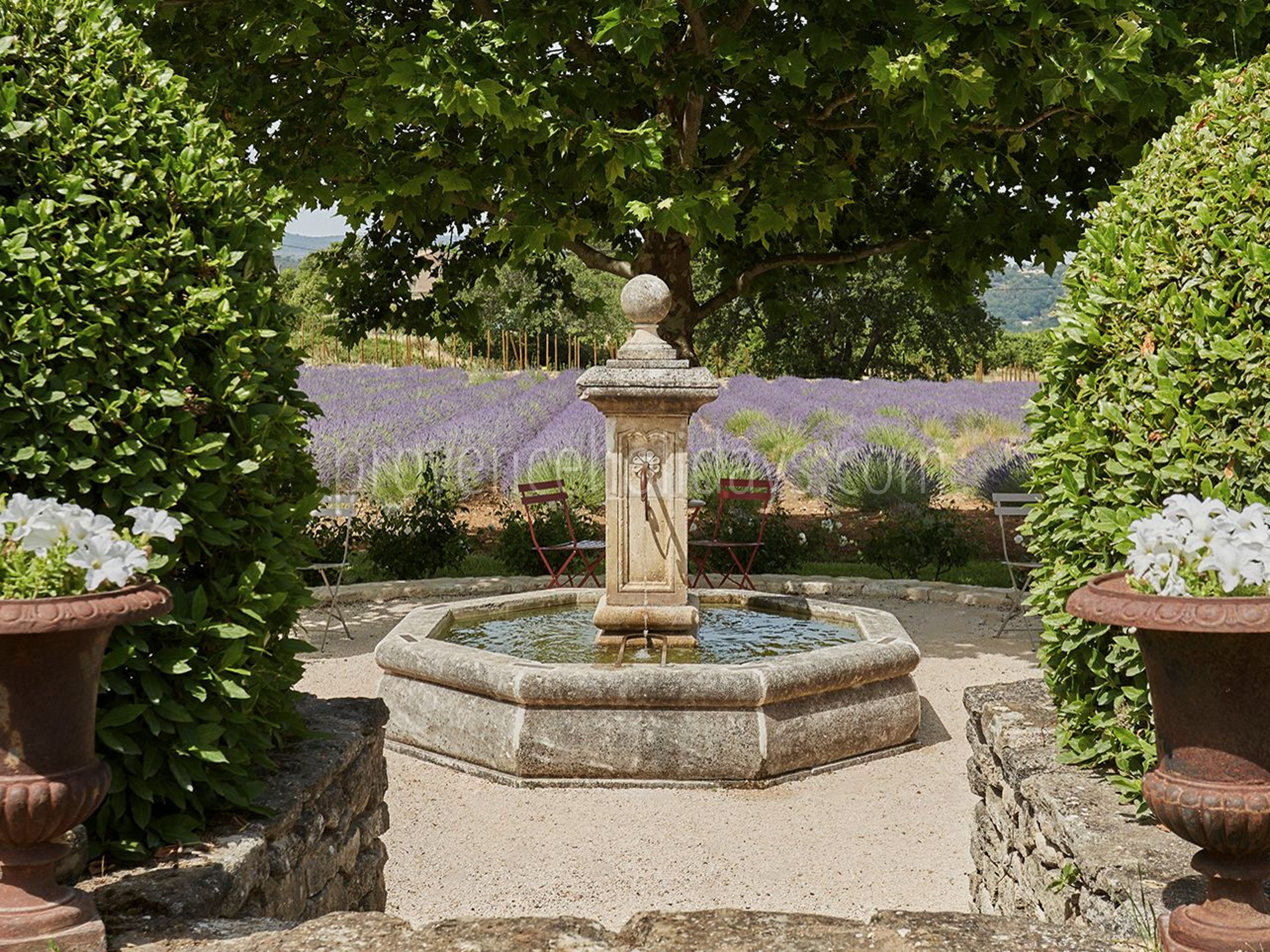 15 - L’Orée des Lavandes: Villa: Exterior