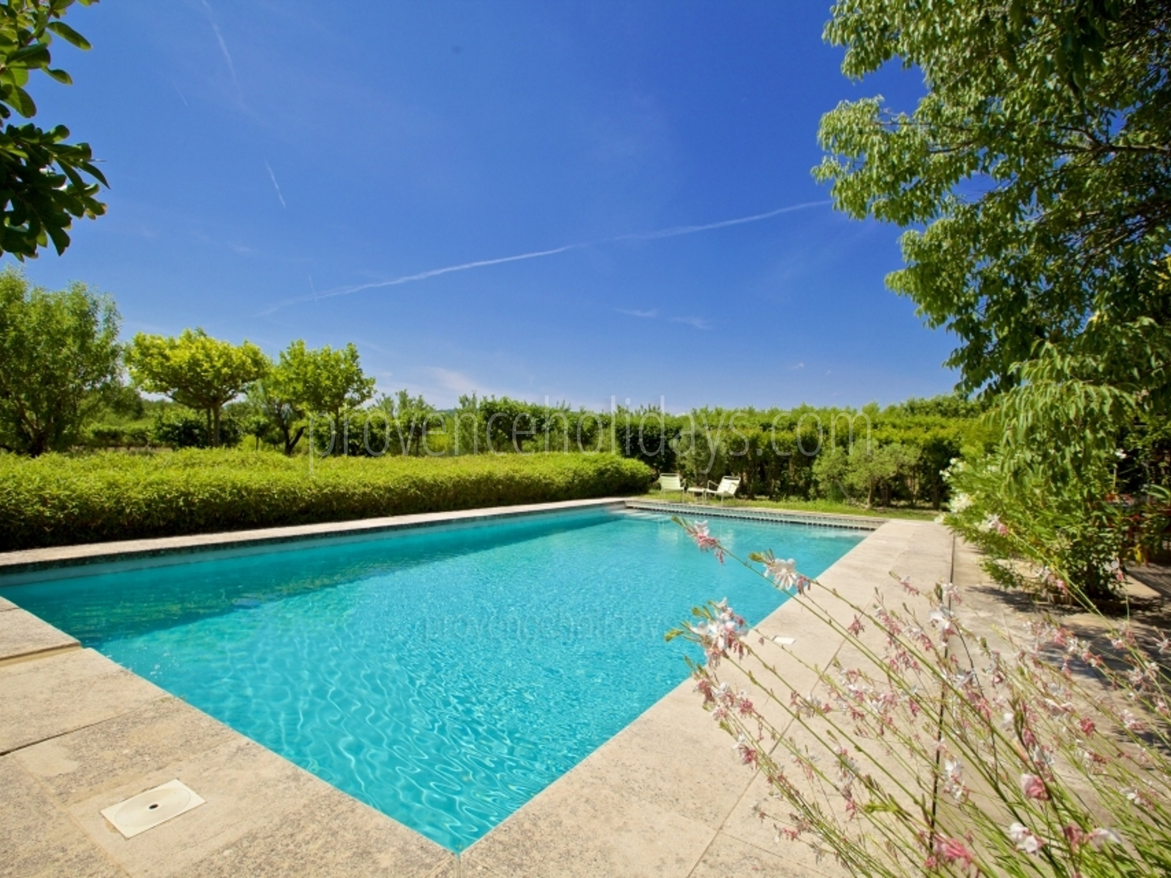 42 - Mas des Lavandes: Villa: Pool