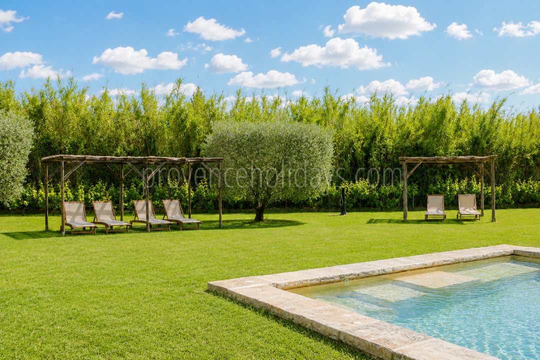 38 - Mas de l\'Orchidée: Villa: Pool
