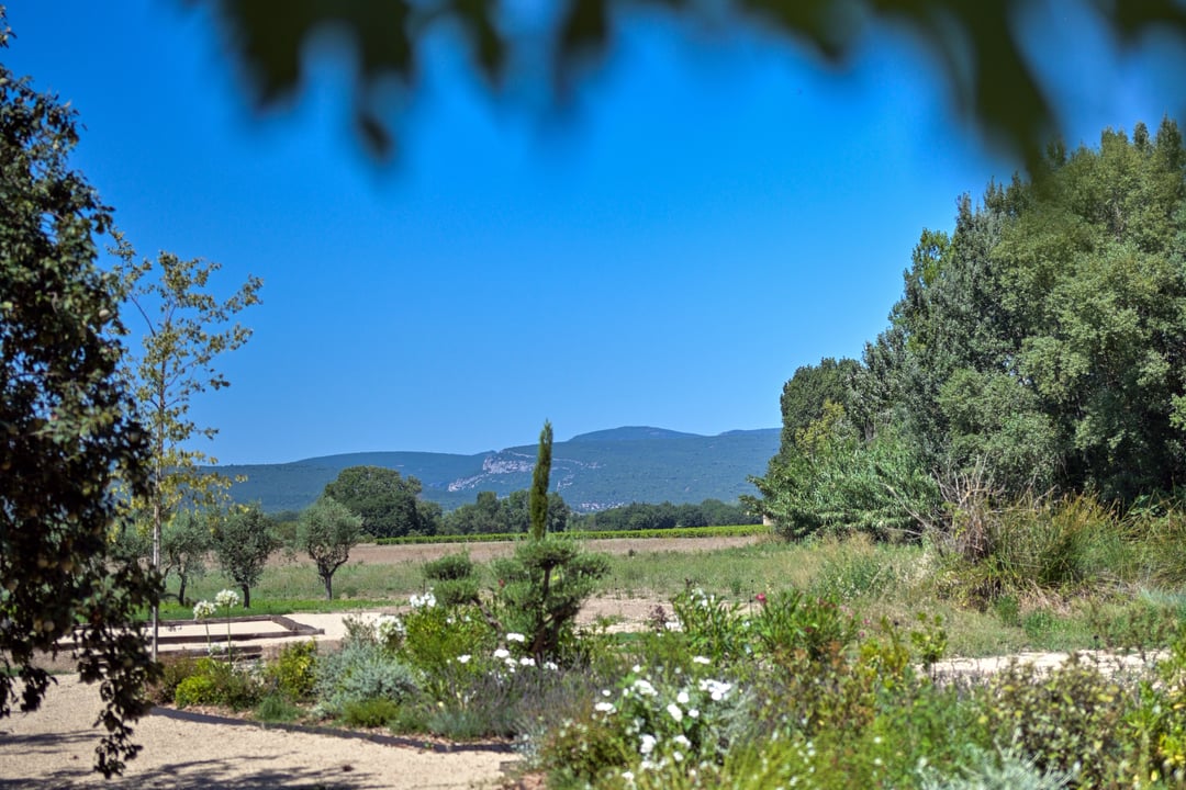 115 - Le Mas de Prestige: Villa: Exterior