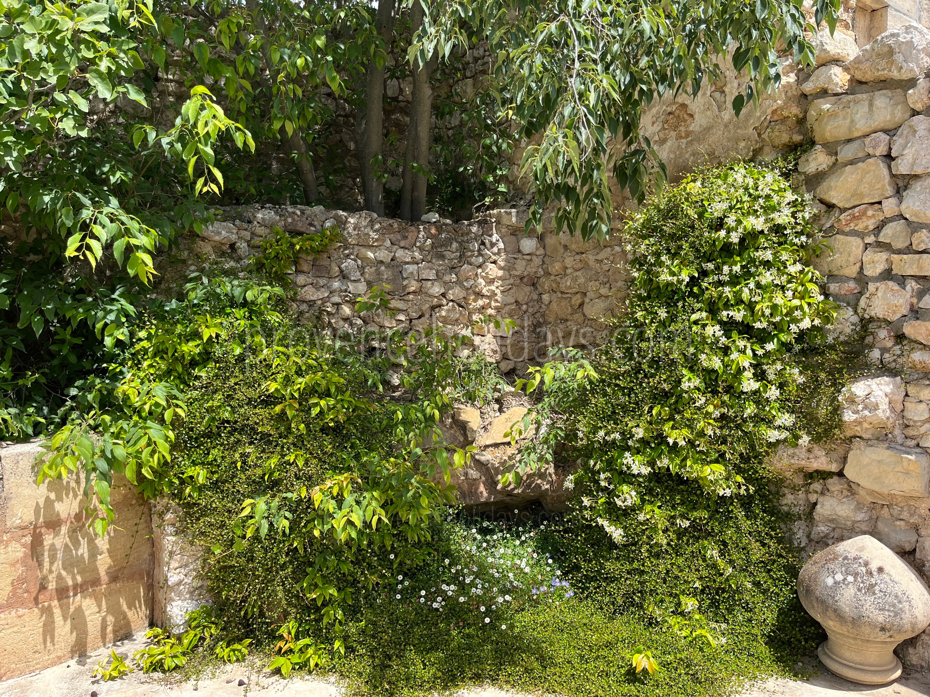 59 - Mas des Baux: Villa: Exterior