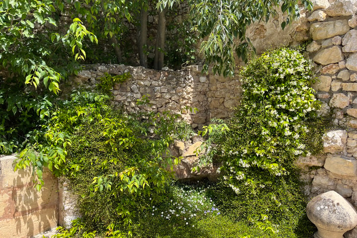 59 - Mas des Baux: Villa: Exterior