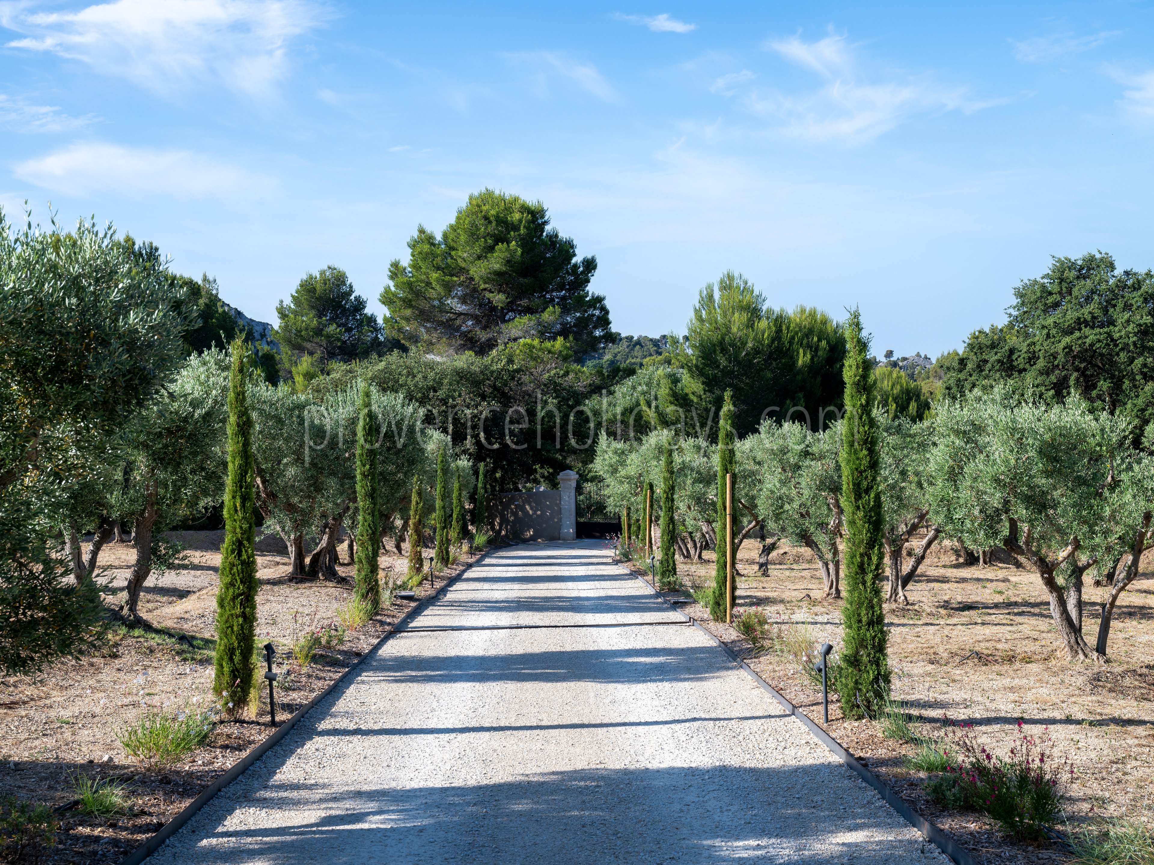 103 - Le Loup des Alpilles: Villa: Exterior