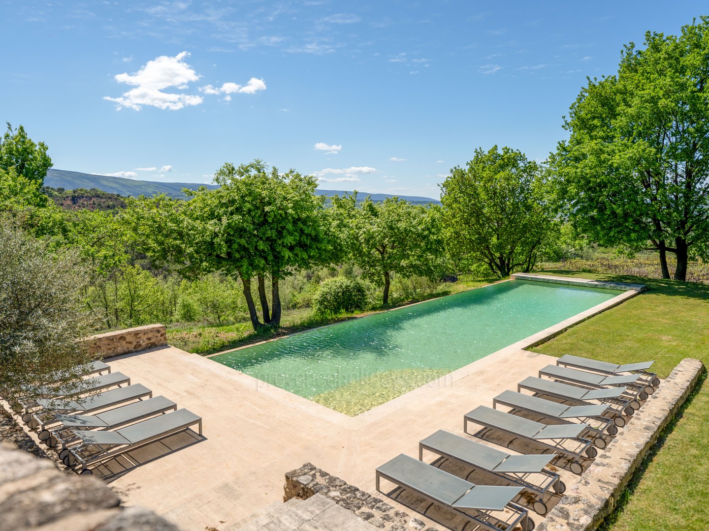3 - Le Mas des Vignes: Villa: Pool